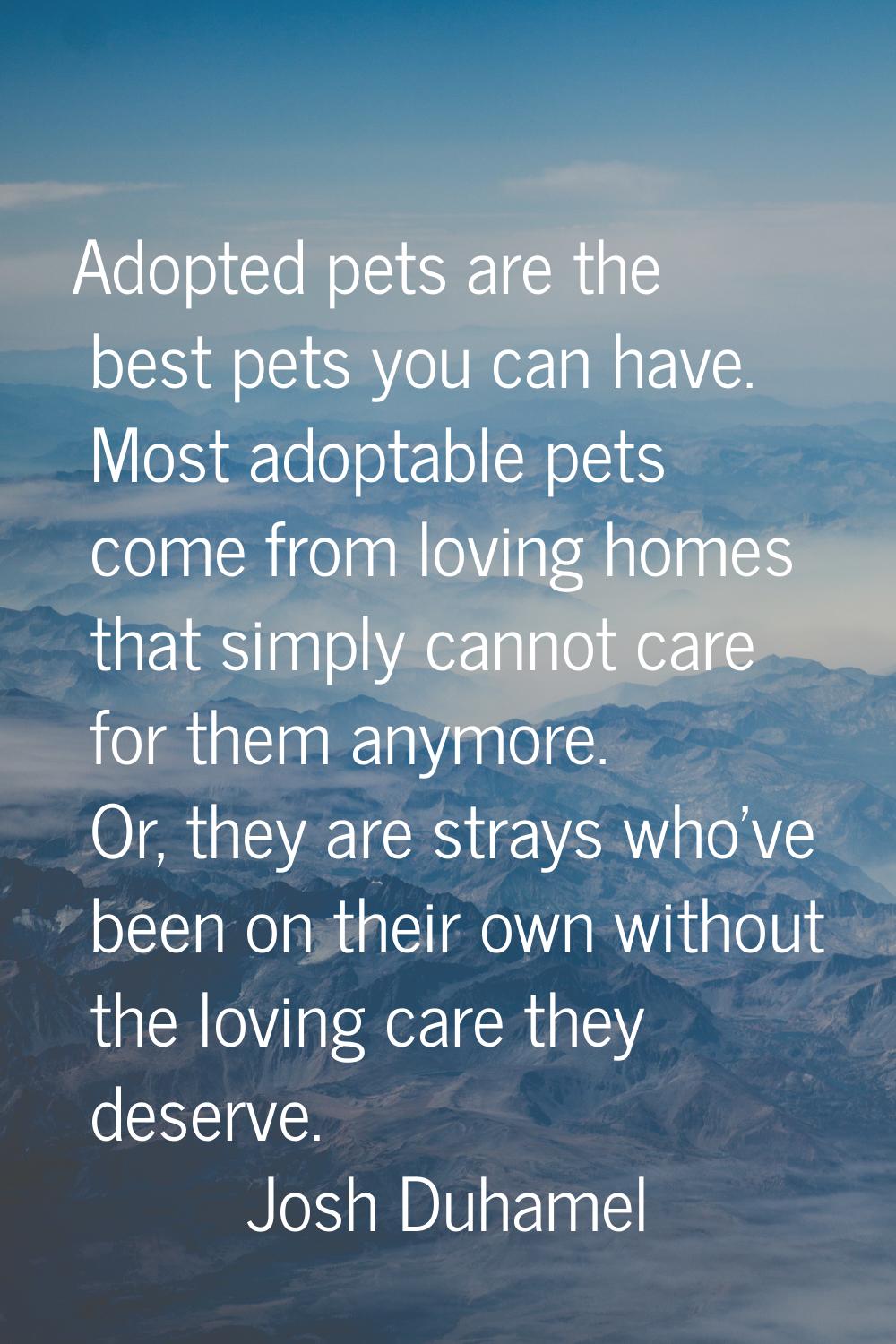 Adopted pets are the best pets you can have. Most adoptable pets come from loving homes that simply