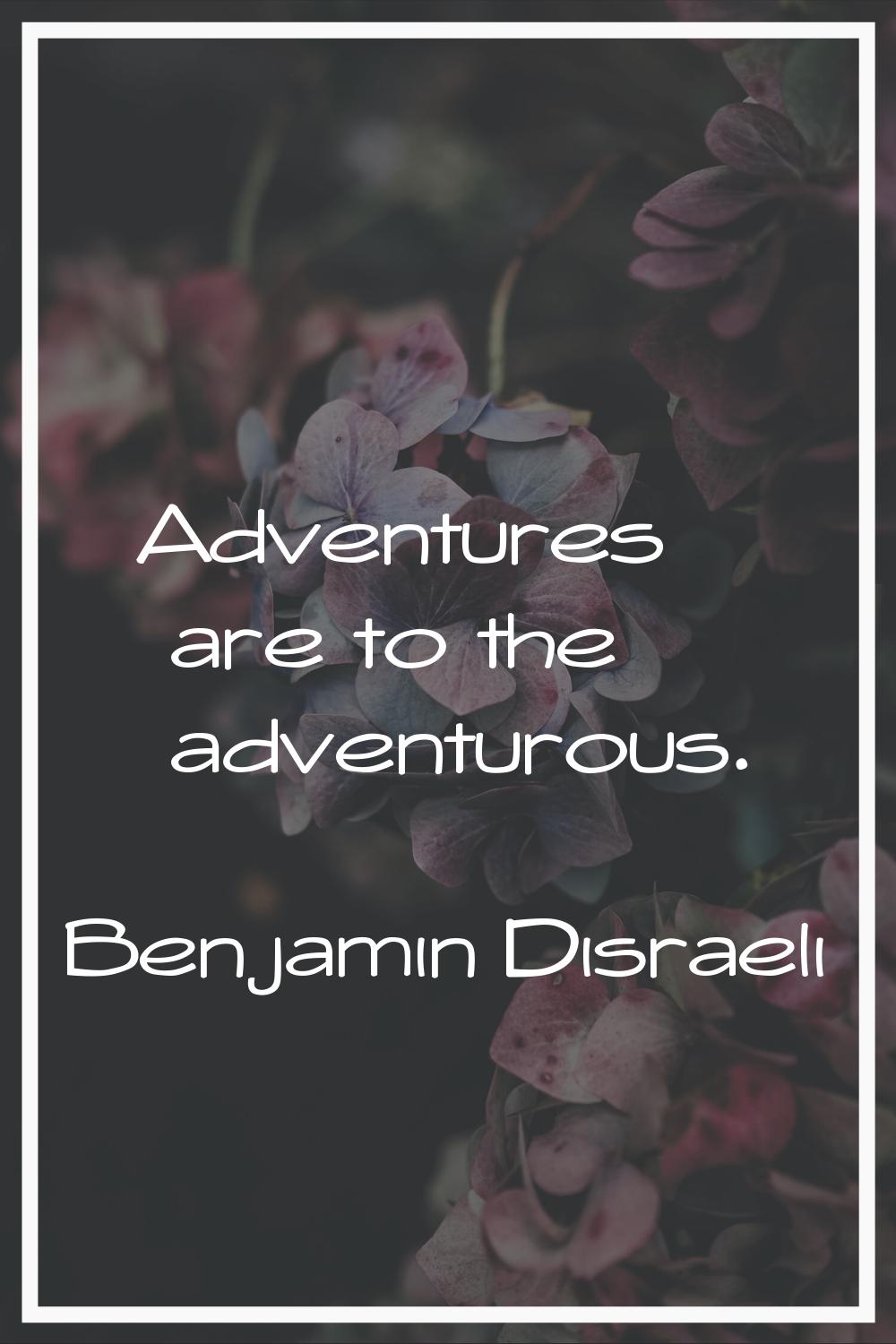 Adventures are to the adventurous.