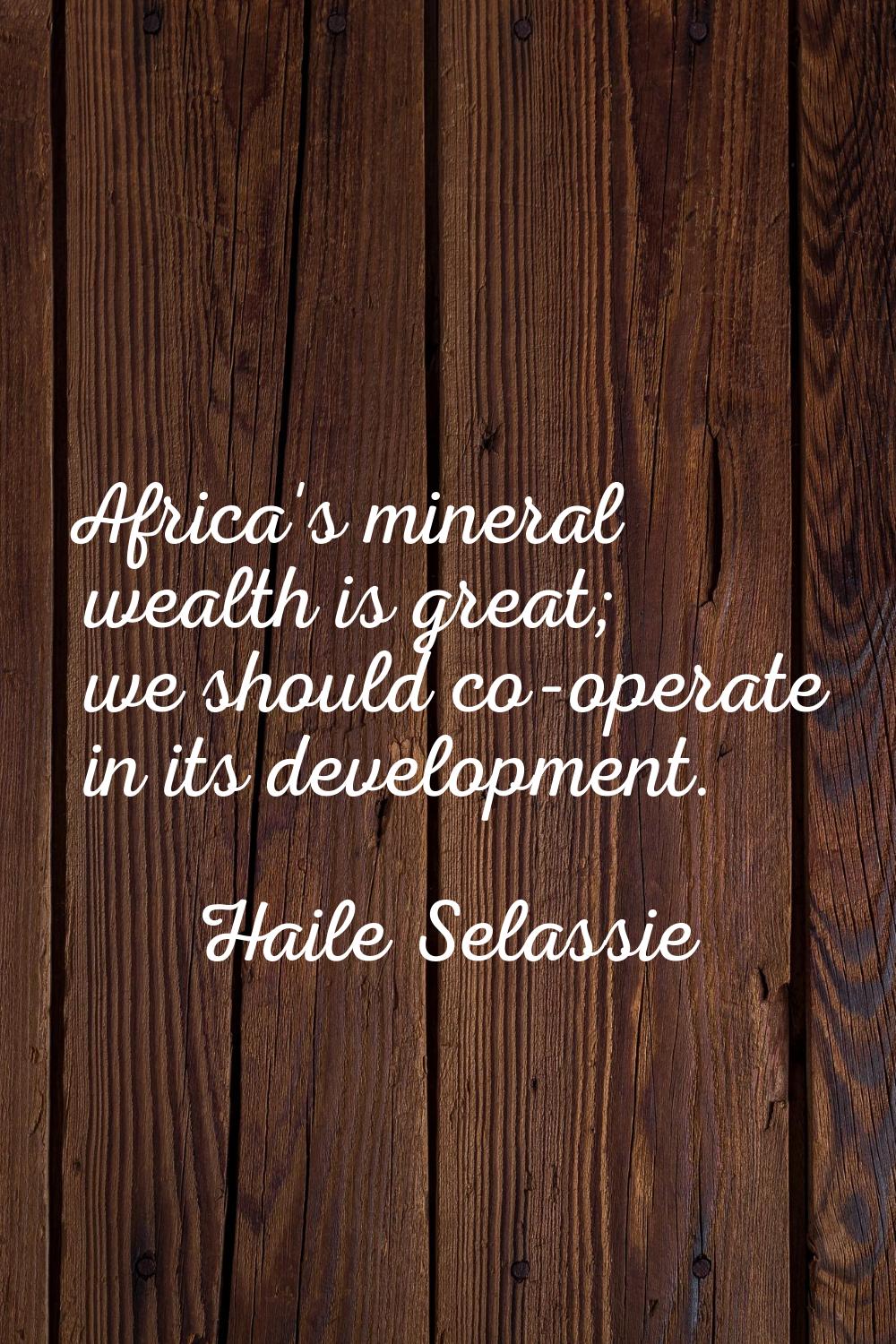 Africa's mineral wealth is great; we should co-operate in its development.