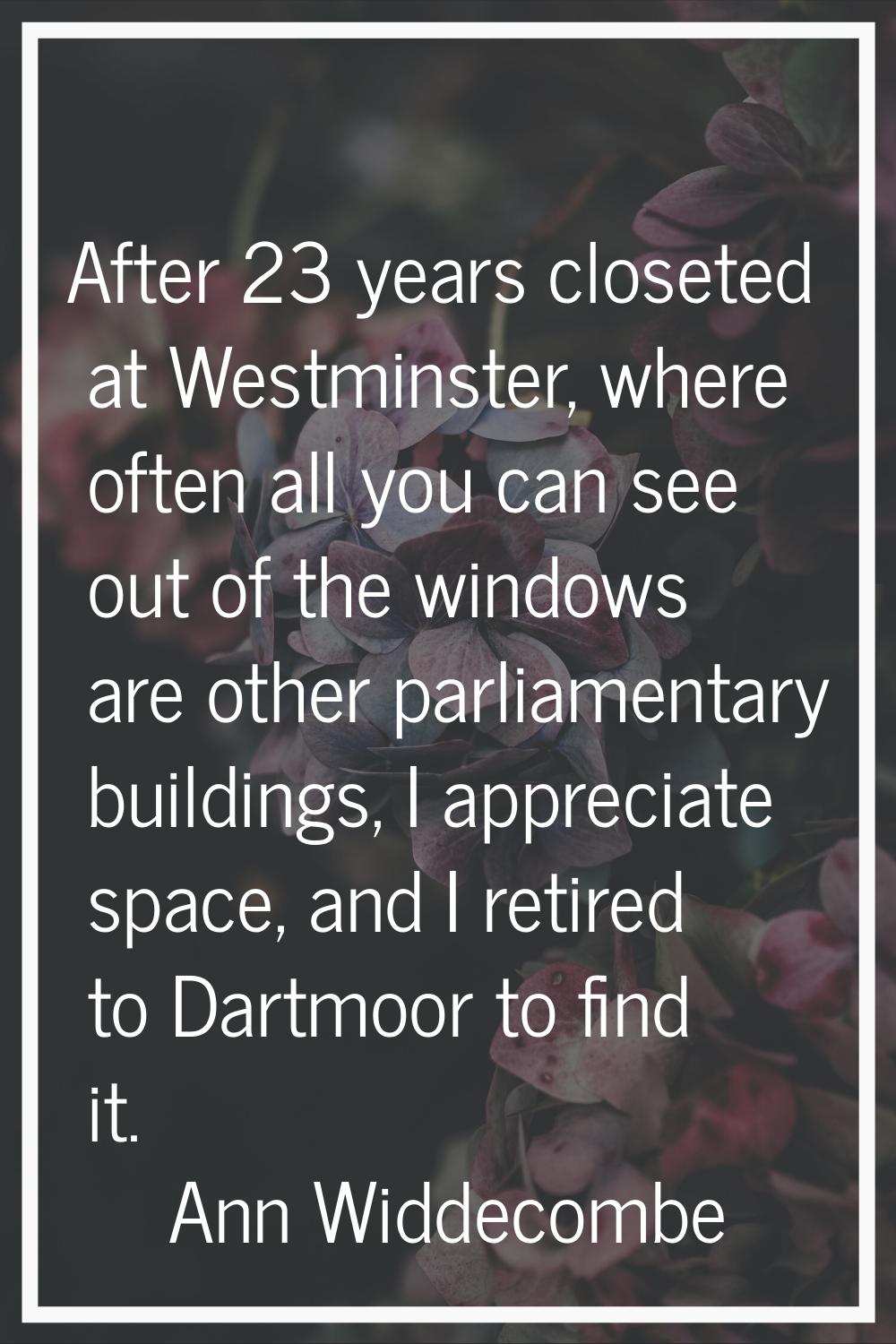 After 23 years closeted at Westminster, where often all you can see out of the windows are other pa