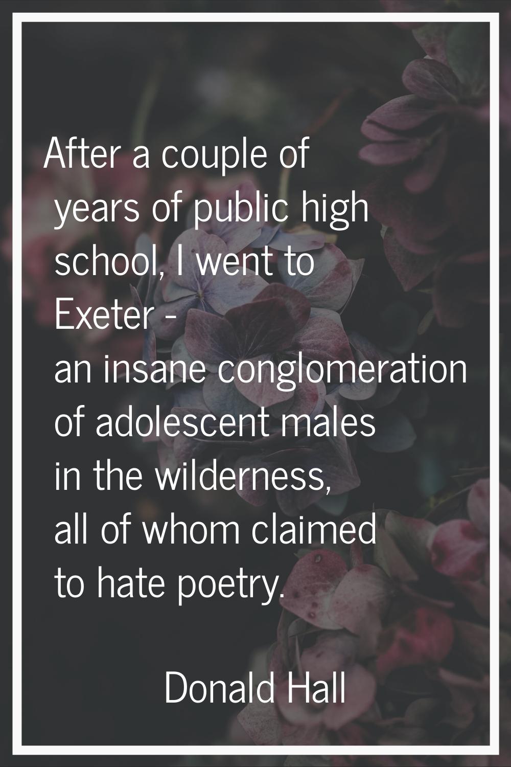 After a couple of years of public high school, I went to Exeter - an insane conglomeration of adole