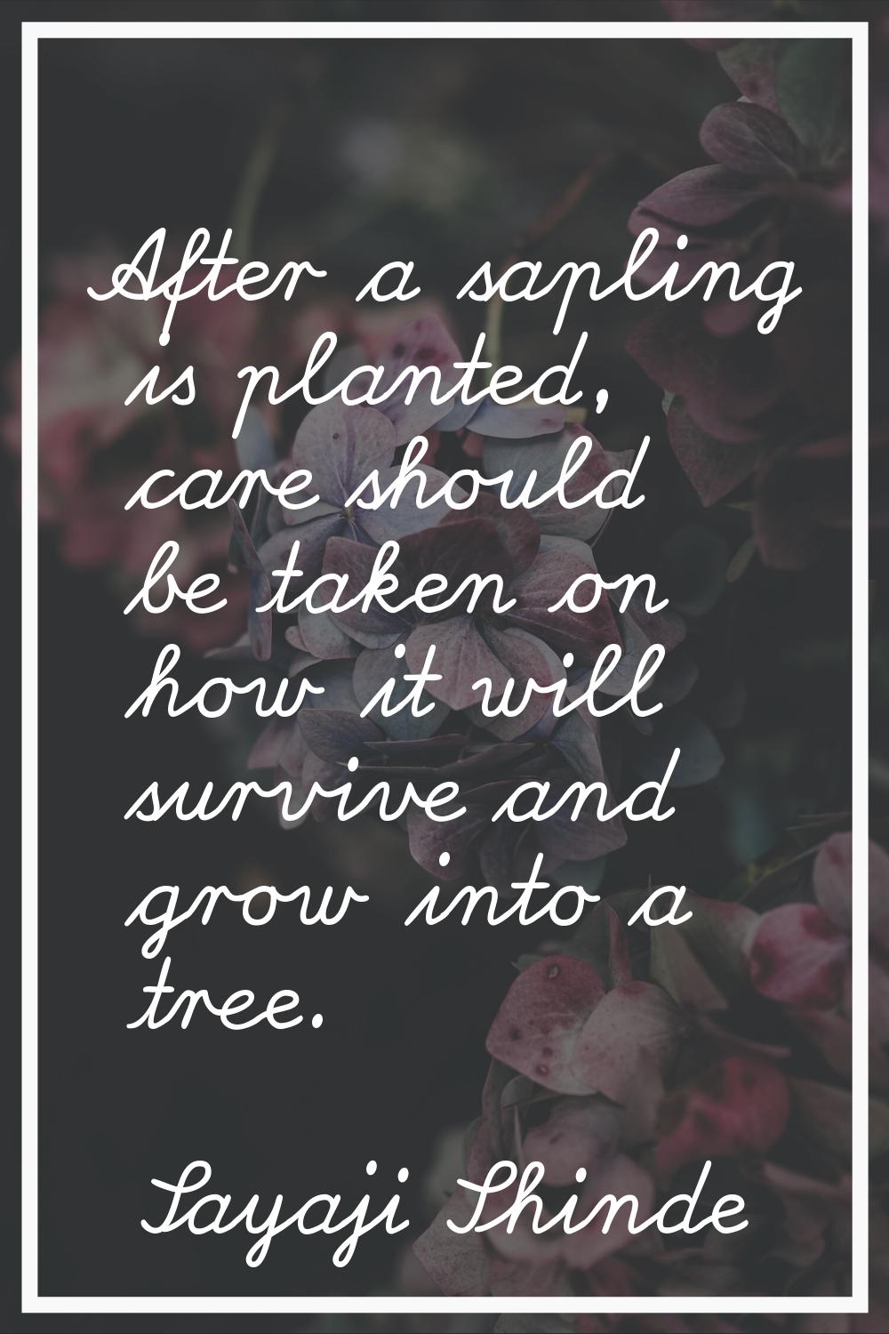 After a sapling is planted, care should be taken on how it will survive and grow into a tree.