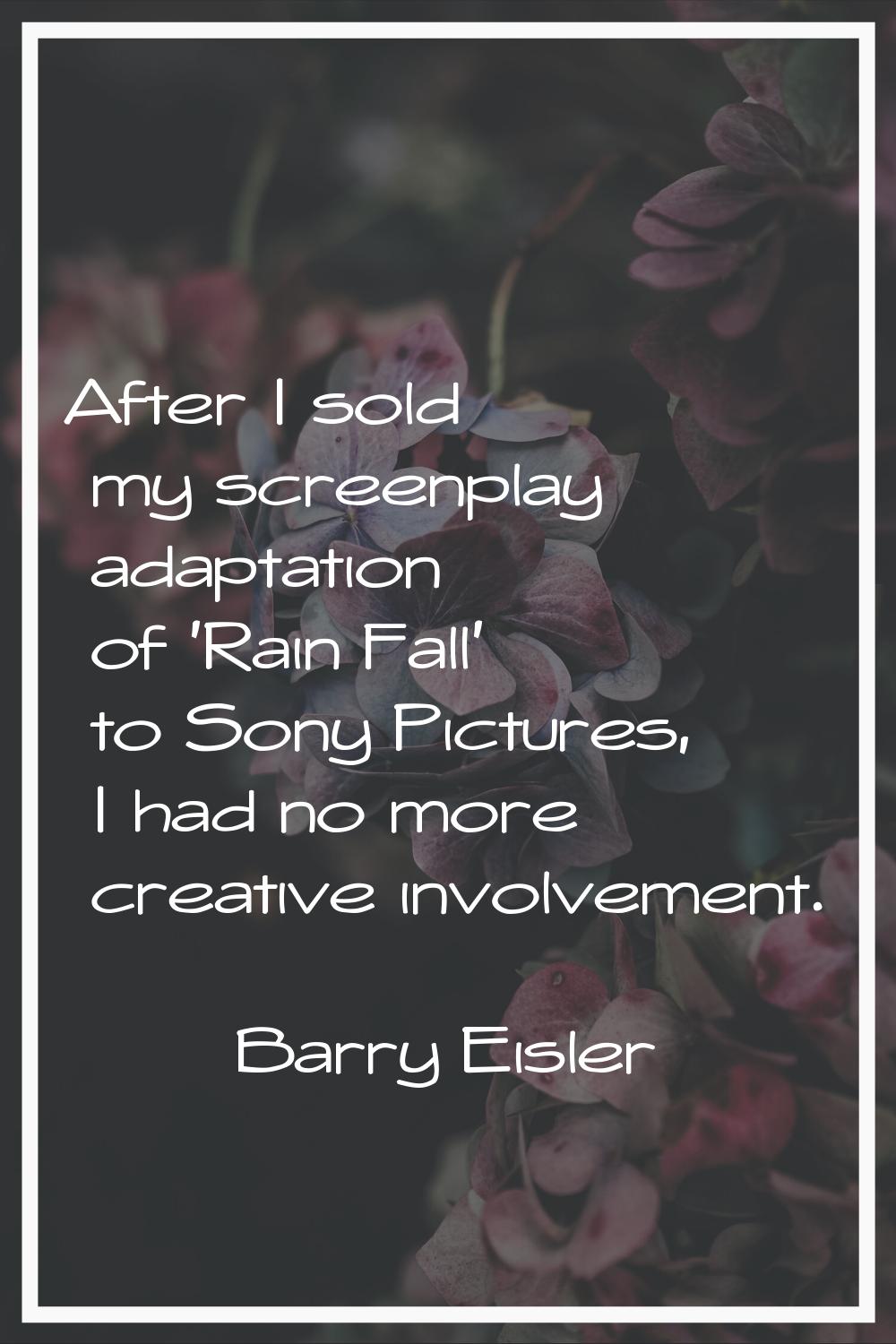After I sold my screenplay adaptation of 'Rain Fall' to Sony Pictures, I had no more creative invol