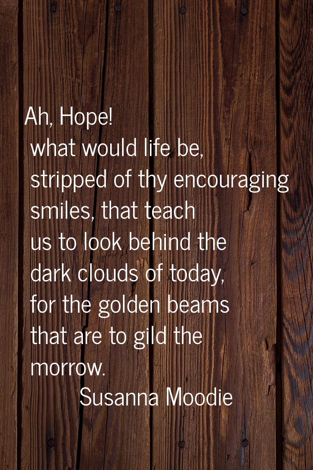 Ah, Hope! what would life be, stripped of thy encouraging smiles, that teach us to look behind the 