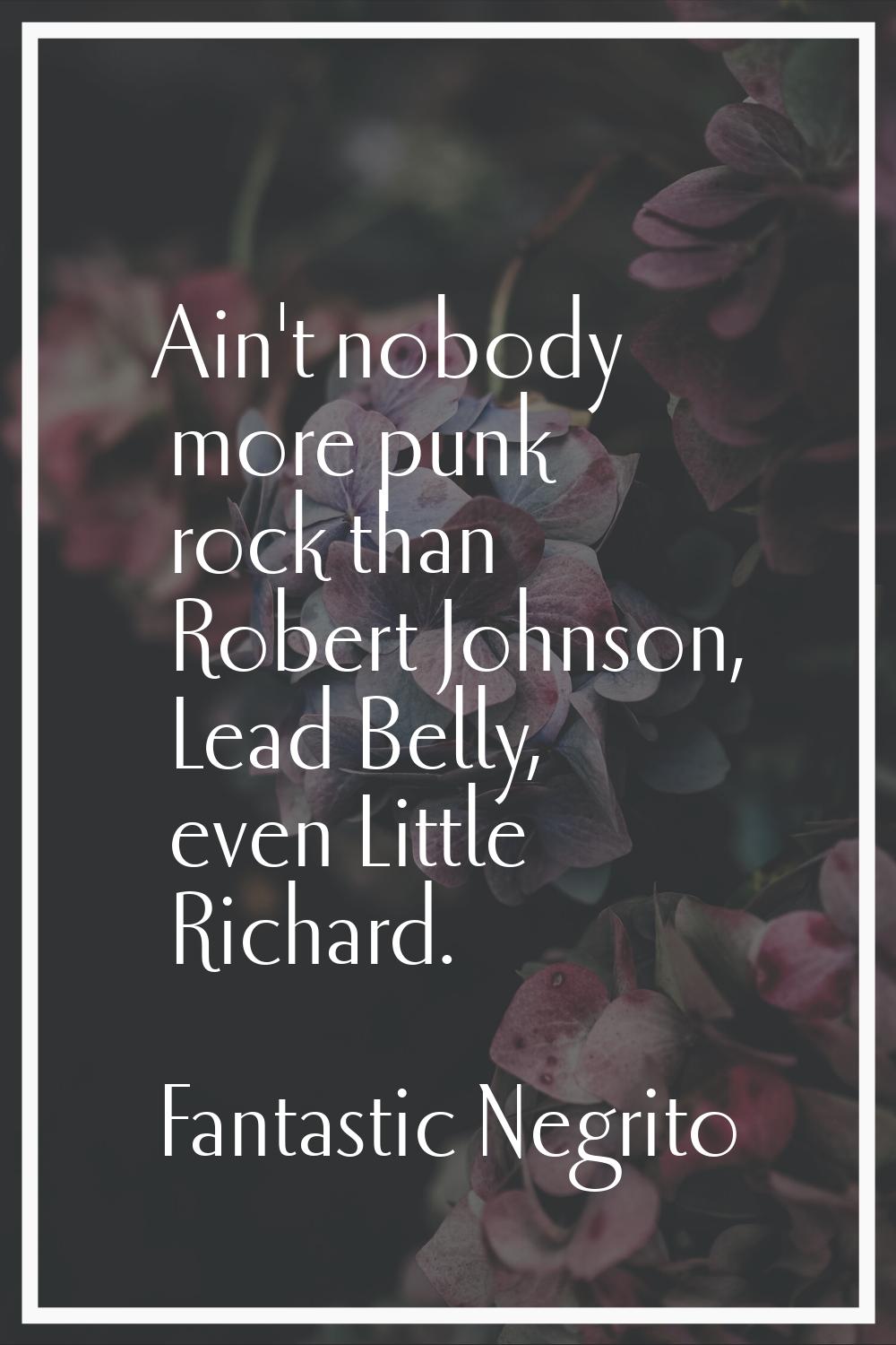 Ain't nobody more punk rock than Robert Johnson, Lead Belly, even Little Richard.