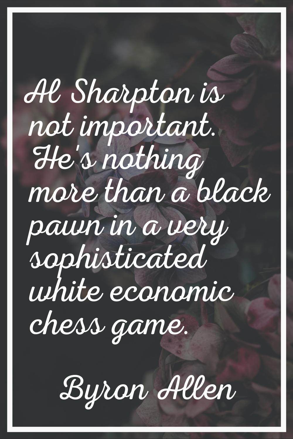 Al Sharpton is not important. He's nothing more than a black pawn in a very sophisticated white eco