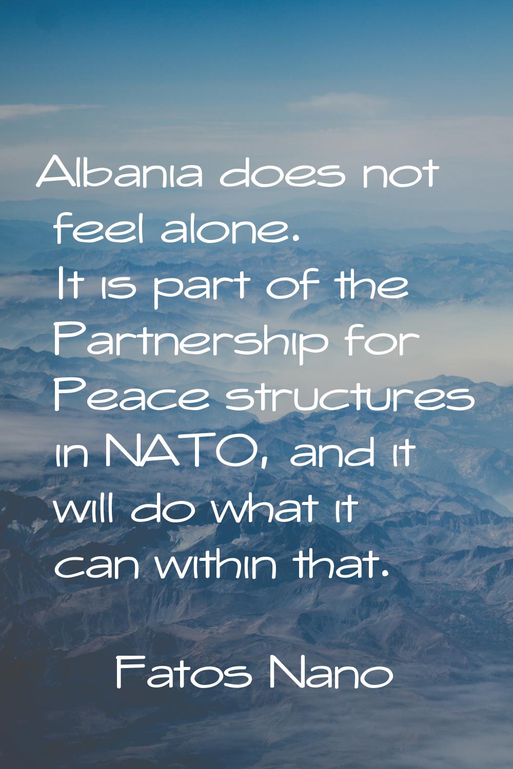 Albania does not feel alone. It is part of the Partnership for Peace structures in NATO, and it wil