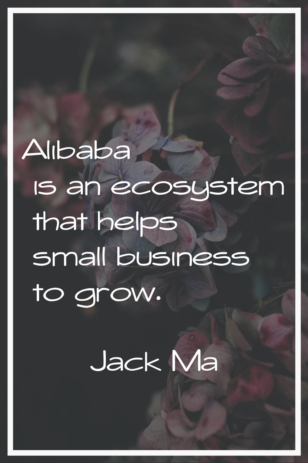 Alibaba is an ecosystem that helps small business to grow.