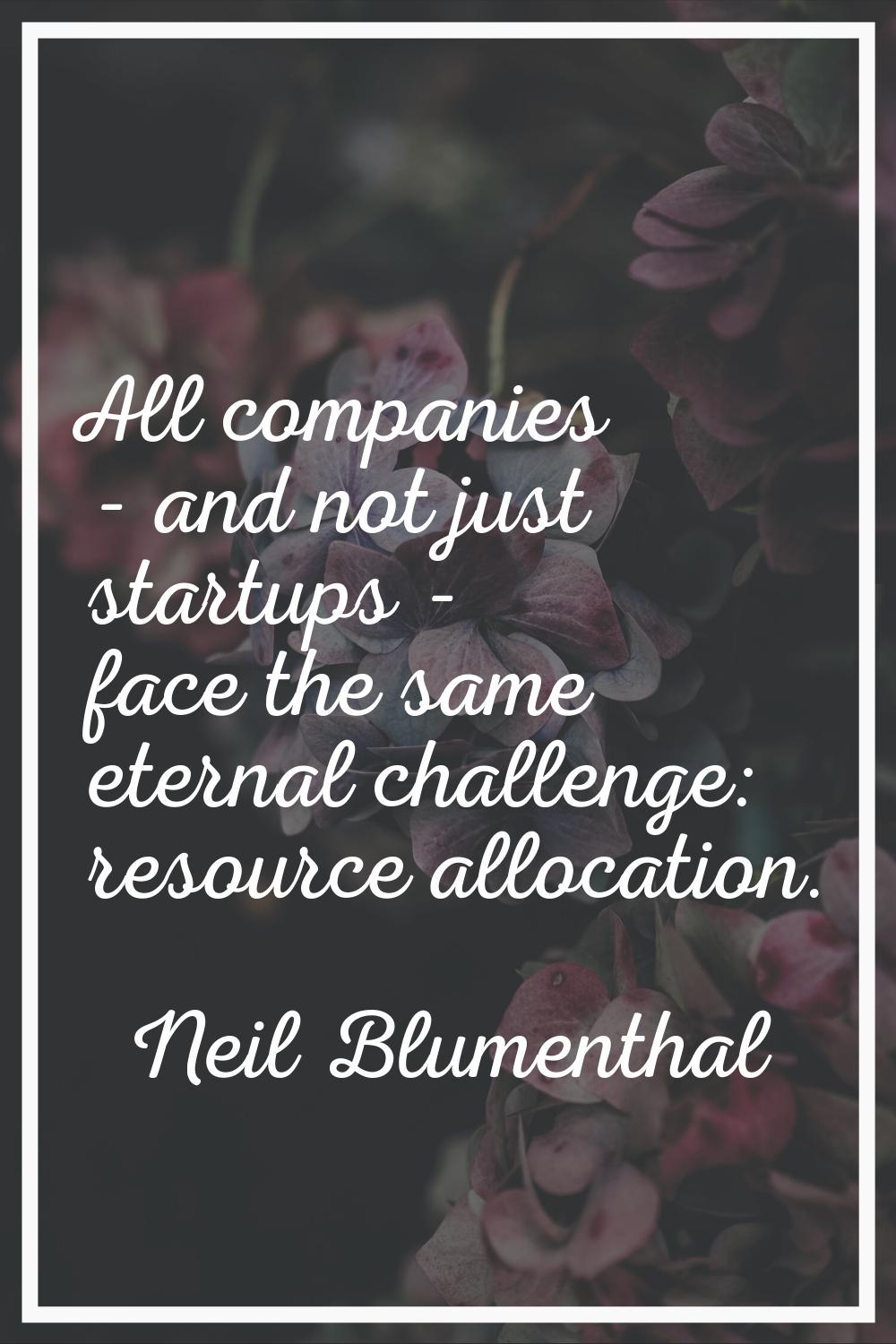 All companies - and not just startups - face the same eternal challenge: resource allocation.