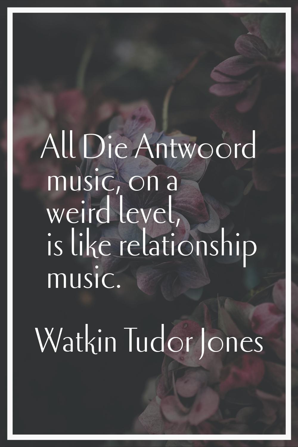 All Die Antwoord music, on a weird level, is like relationship music.