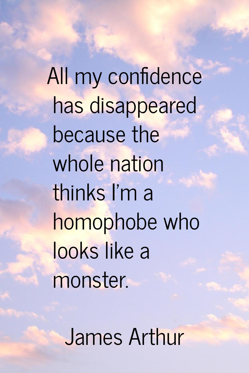All my confidence has disappeared because the whole nation thinks I'm a homophobe who looks like a 