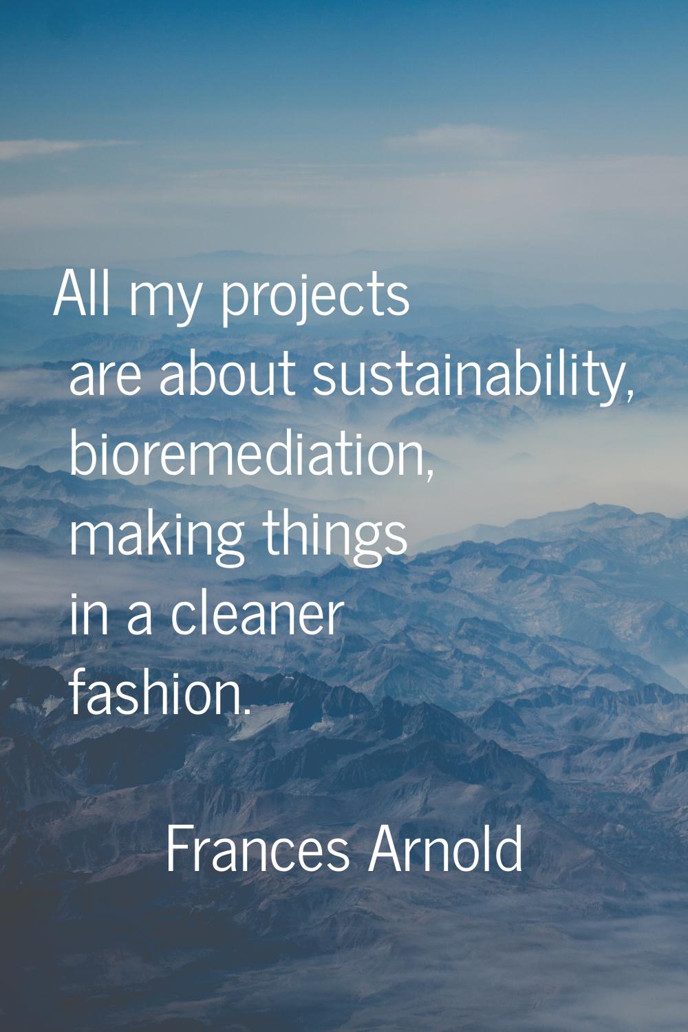 All my projects are about sustainability, bioremediation, making things in a cleaner fashion.