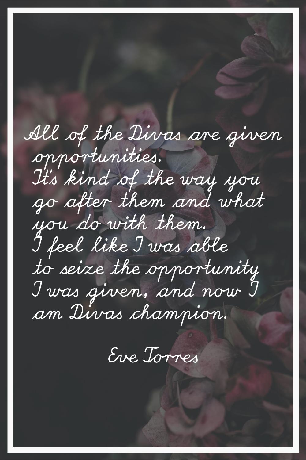 All of the Divas are given opportunities. It's kind of the way you go after them and what you do wi