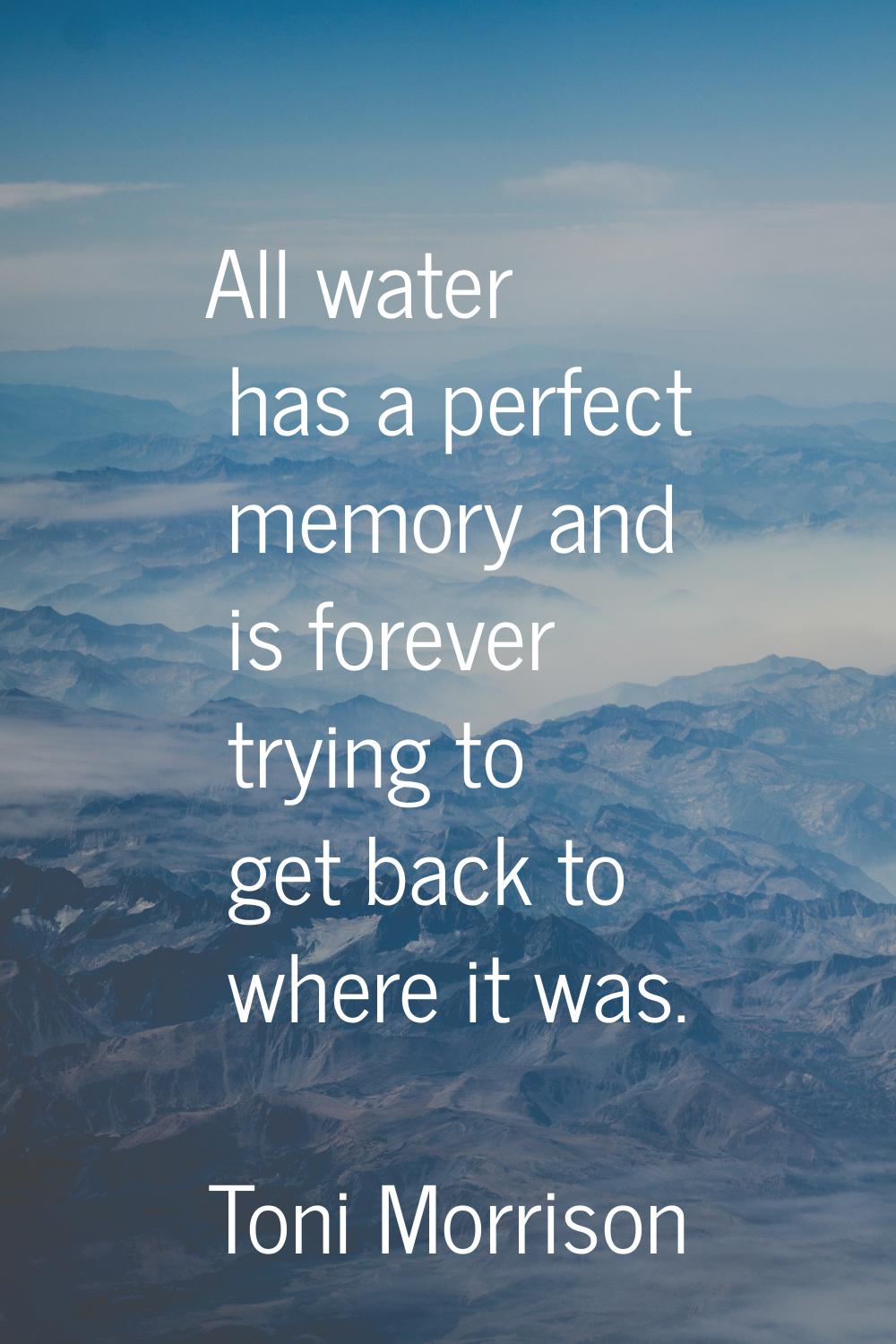 All water has a perfect memory and is forever trying to get back to where it was.