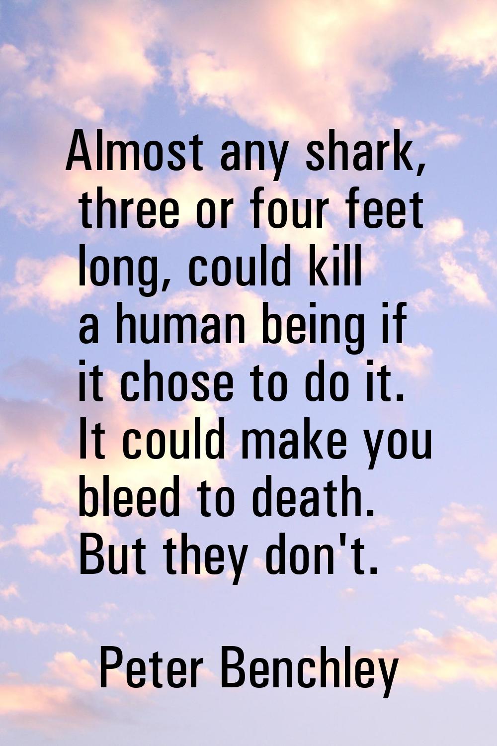 Almost any shark, three or four feet long, could kill a human being if it chose to do it. It could 