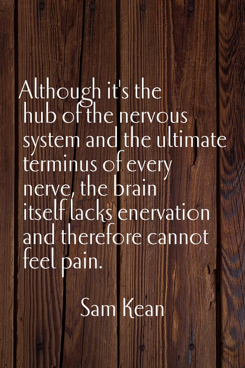 Although it's the hub of the nervous system and the ultimate terminus of every nerve, the brain its