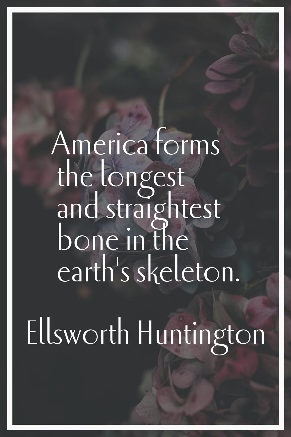 America forms the longest and straightest bone in the earth's skeleton.