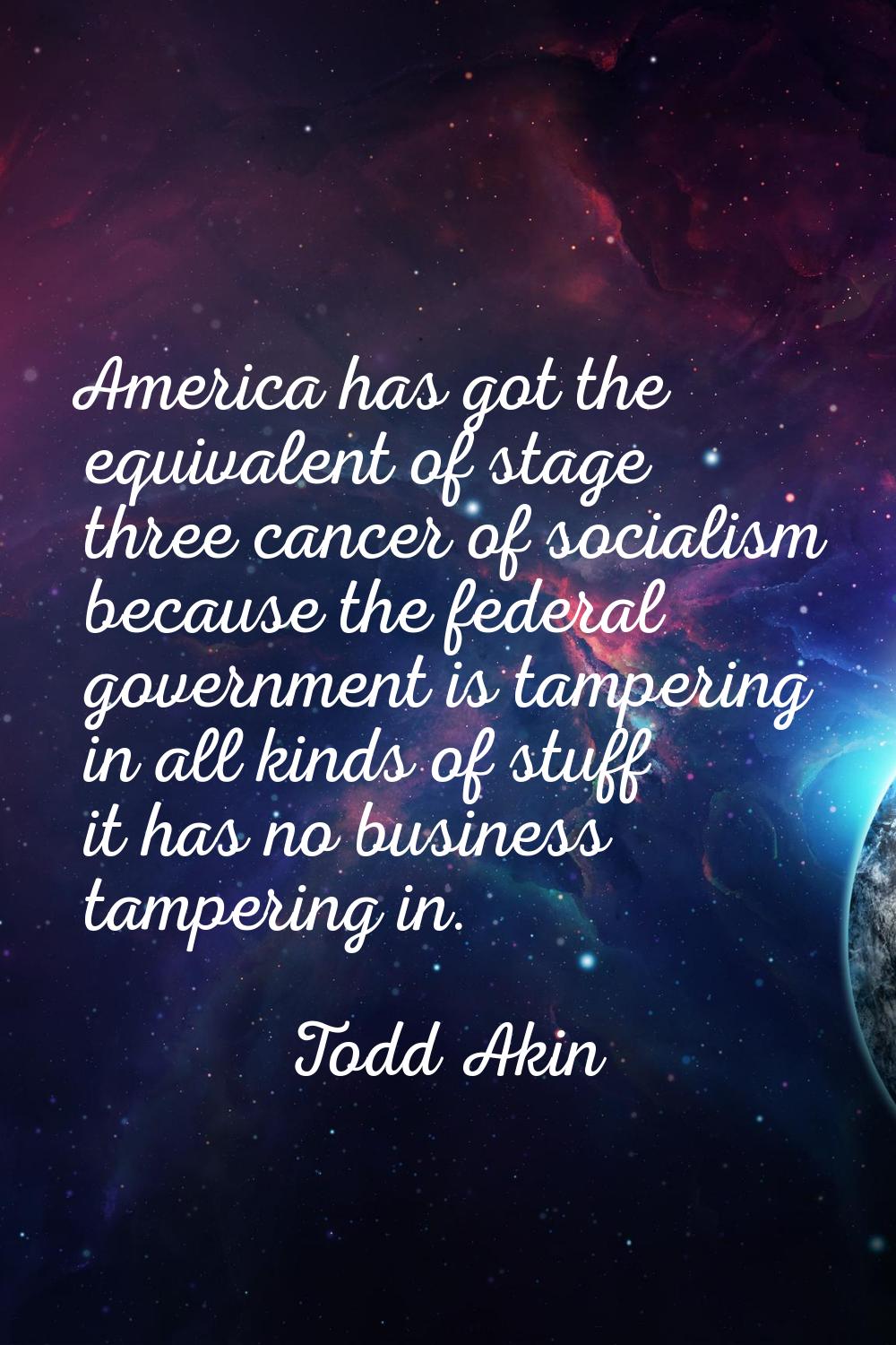 America has got the equivalent of stage three cancer of socialism because the federal government is