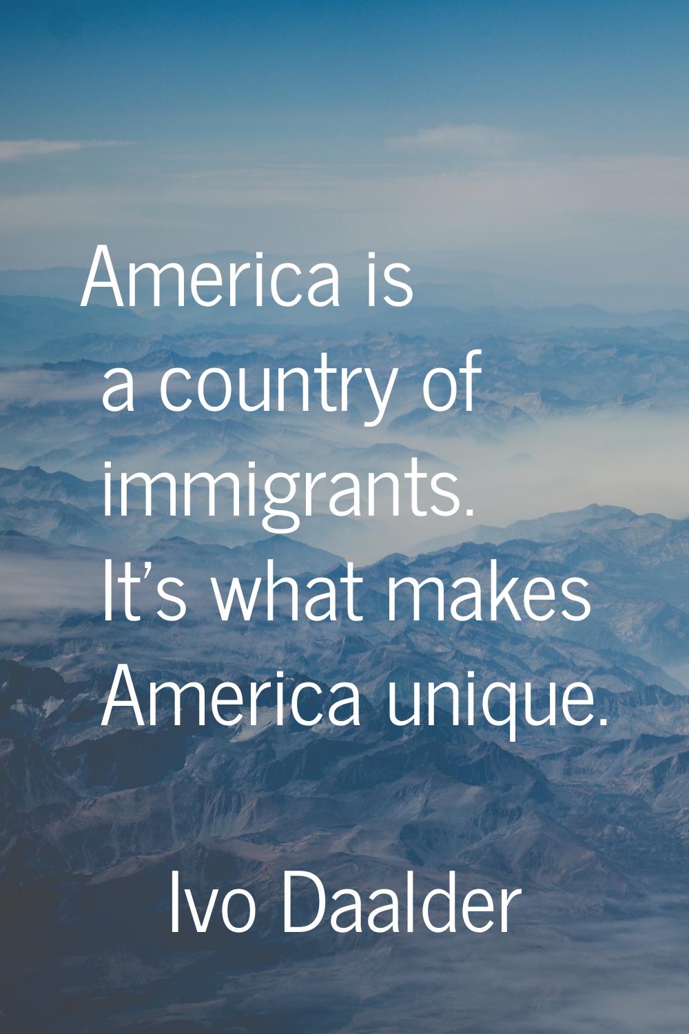 America is a country of immigrants. It's what makes America unique.