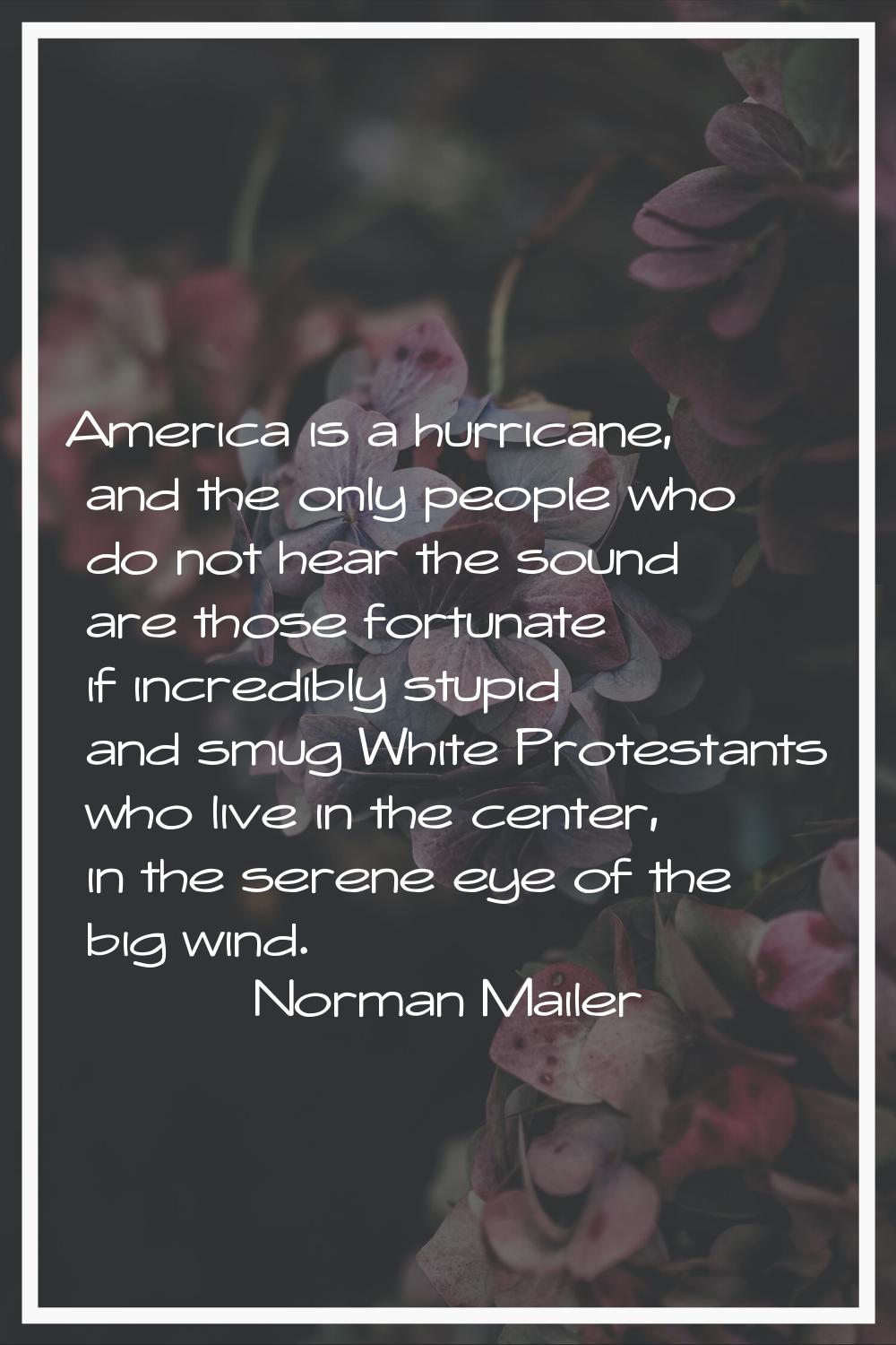 America is a hurricane, and the only people who do not hear the sound are those fortunate if incred