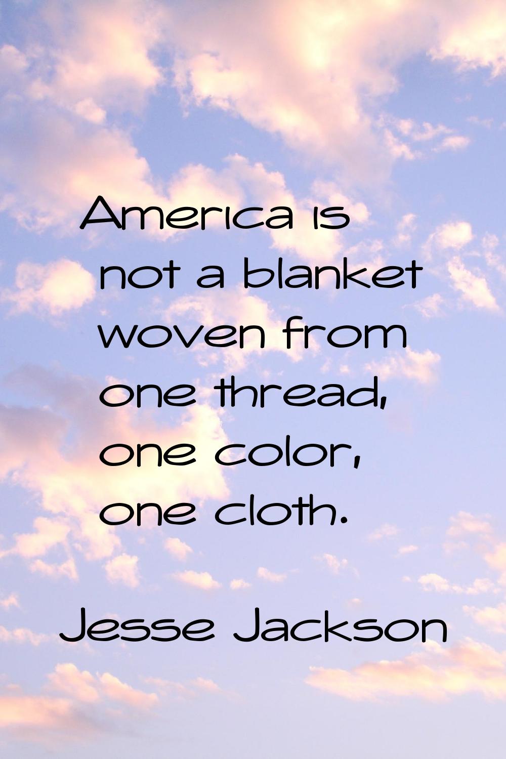 America is not a blanket woven from one thread, one color, one cloth.
