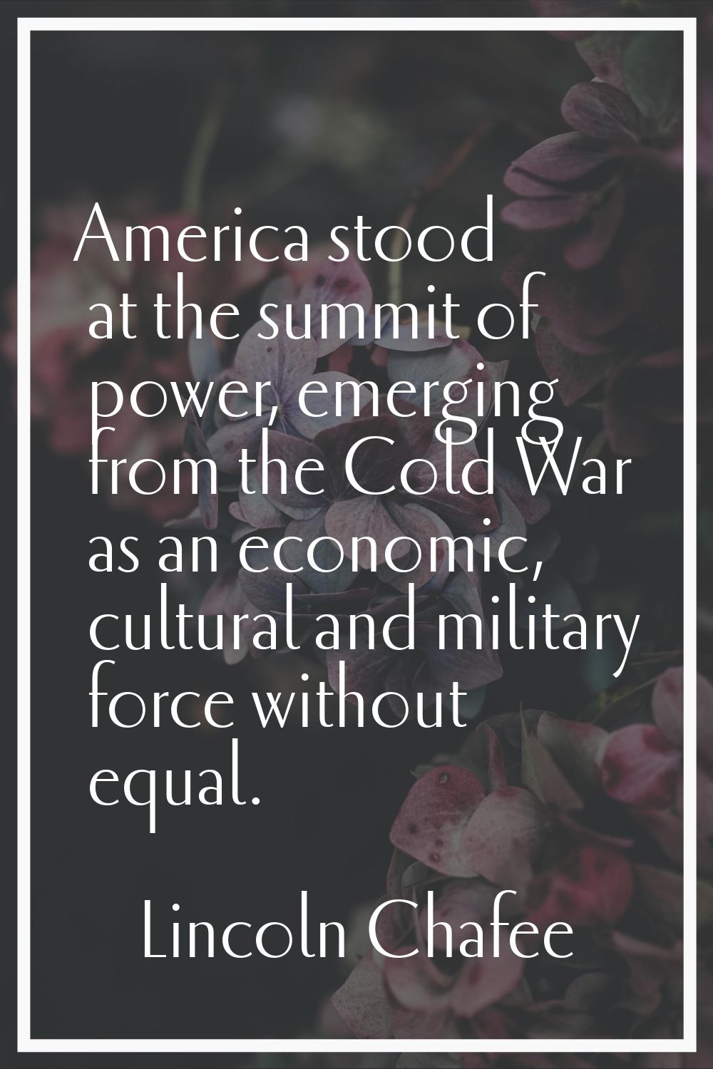 America stood at the summit of power, emerging from the Cold War as an economic, cultural and milit
