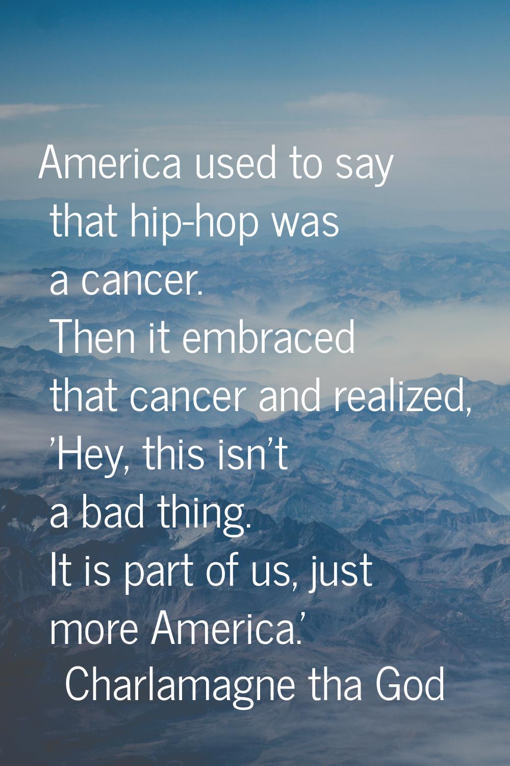 America used to say that hip-hop was a cancer. Then it embraced that cancer and realized, 'Hey, thi