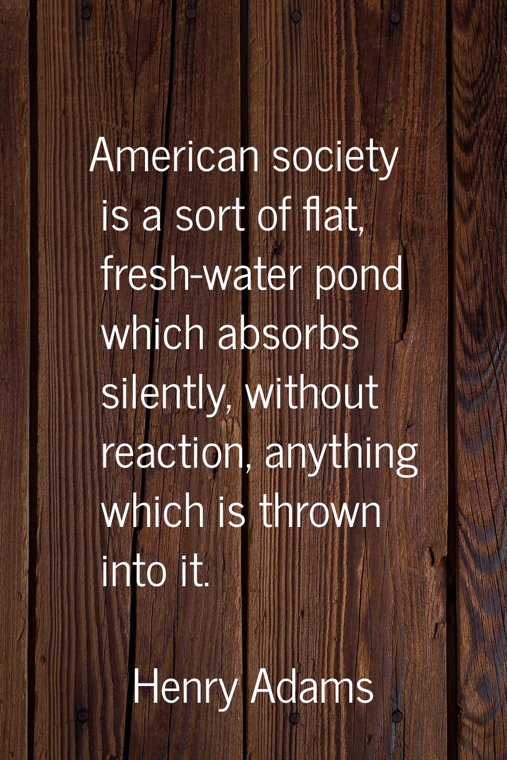 American society is a sort of flat, fresh-water pond which absorbs silently, without reaction, anyt