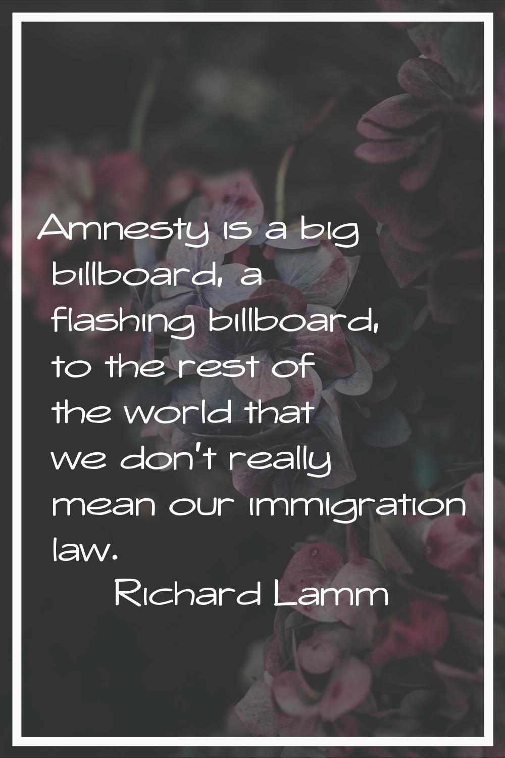 Amnesty is a big billboard, a flashing billboard, to the rest of the world that we don't really mea