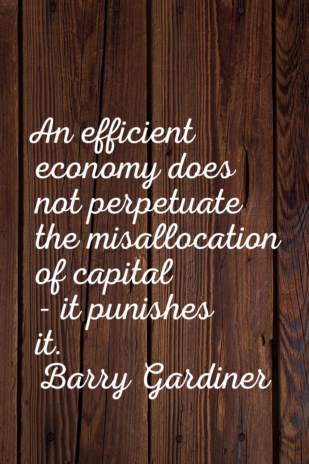 An efficient economy does not perpetuate the misallocation of capital - it punishes it.
