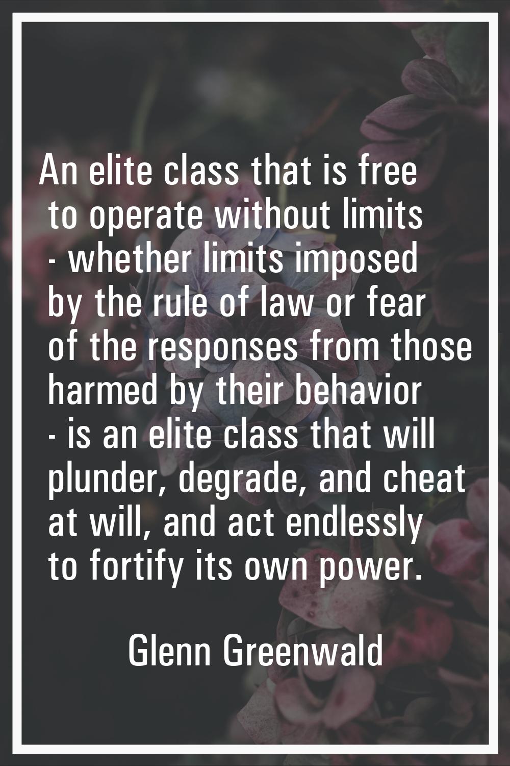 An elite class that is free to operate without limits - whether limits imposed by the rule of law o