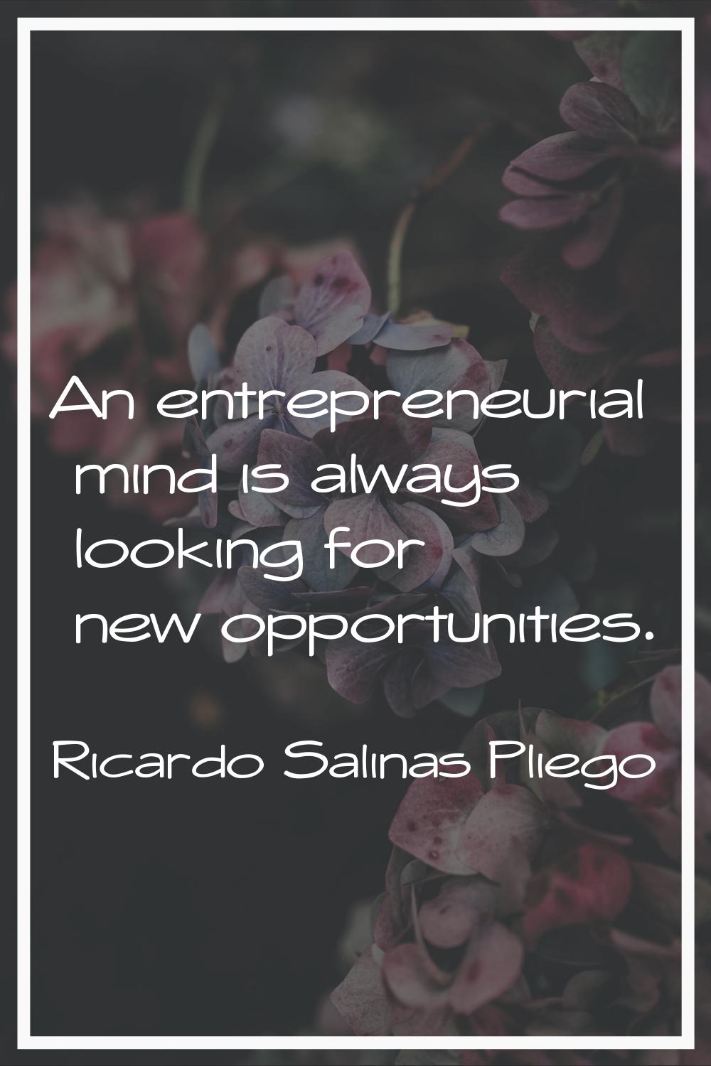 An entrepreneurial mind is always looking for new opportunities.