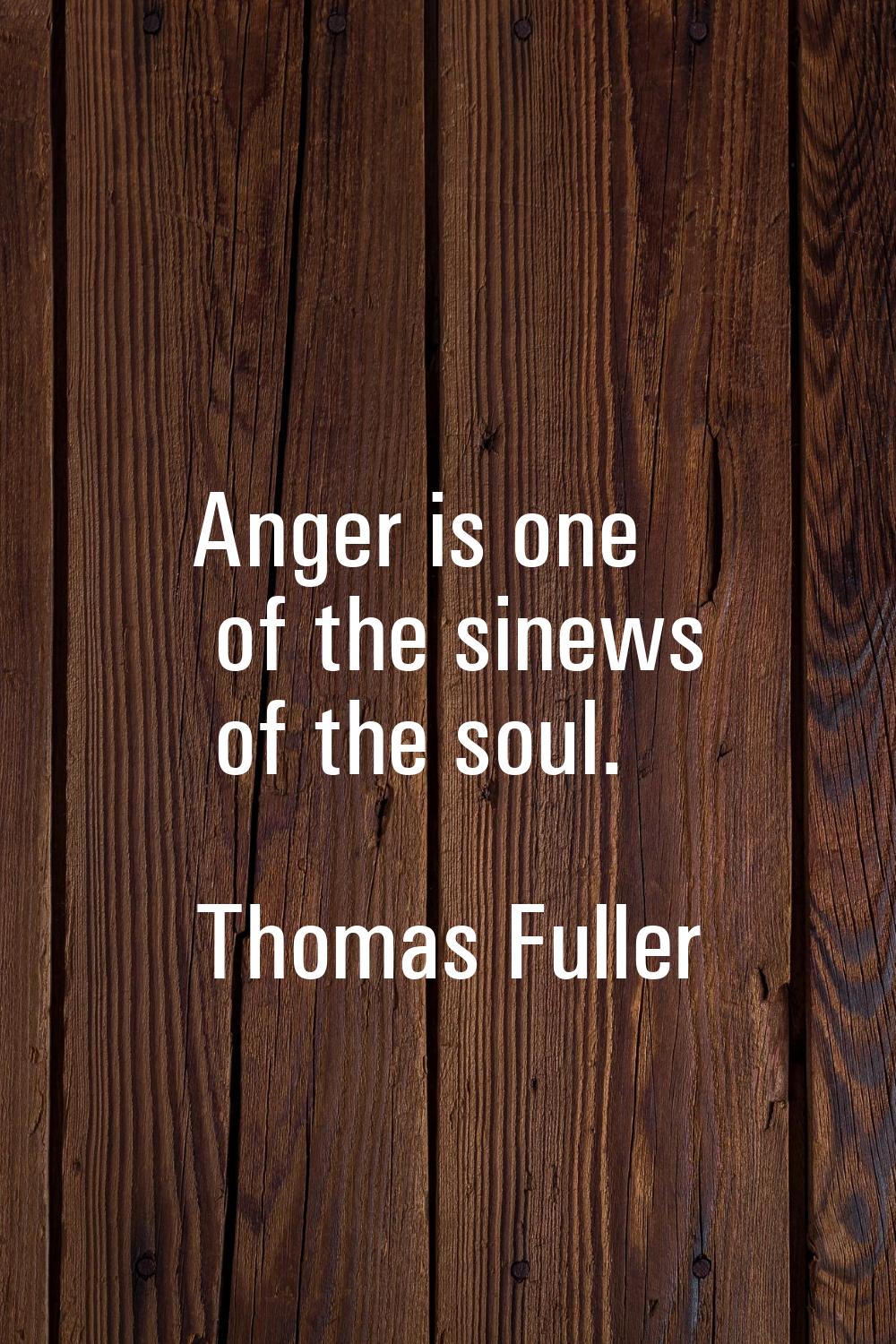 Anger is one of the sinews of the soul.