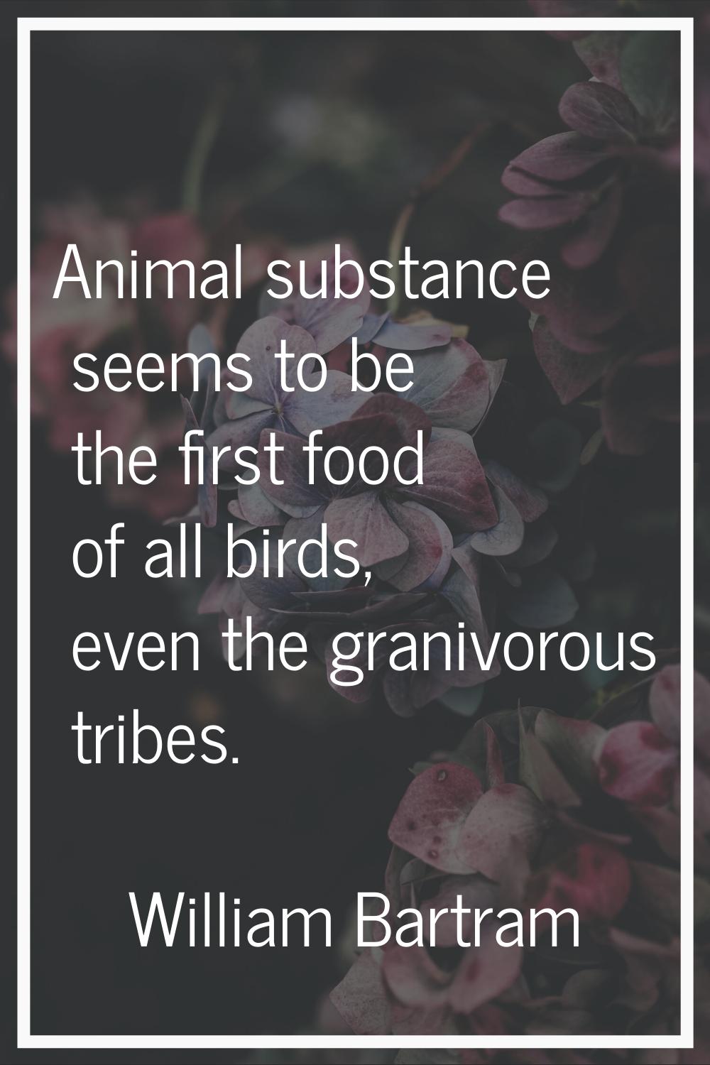 Animal substance seems to be the first food of all birds, even the granivorous tribes.