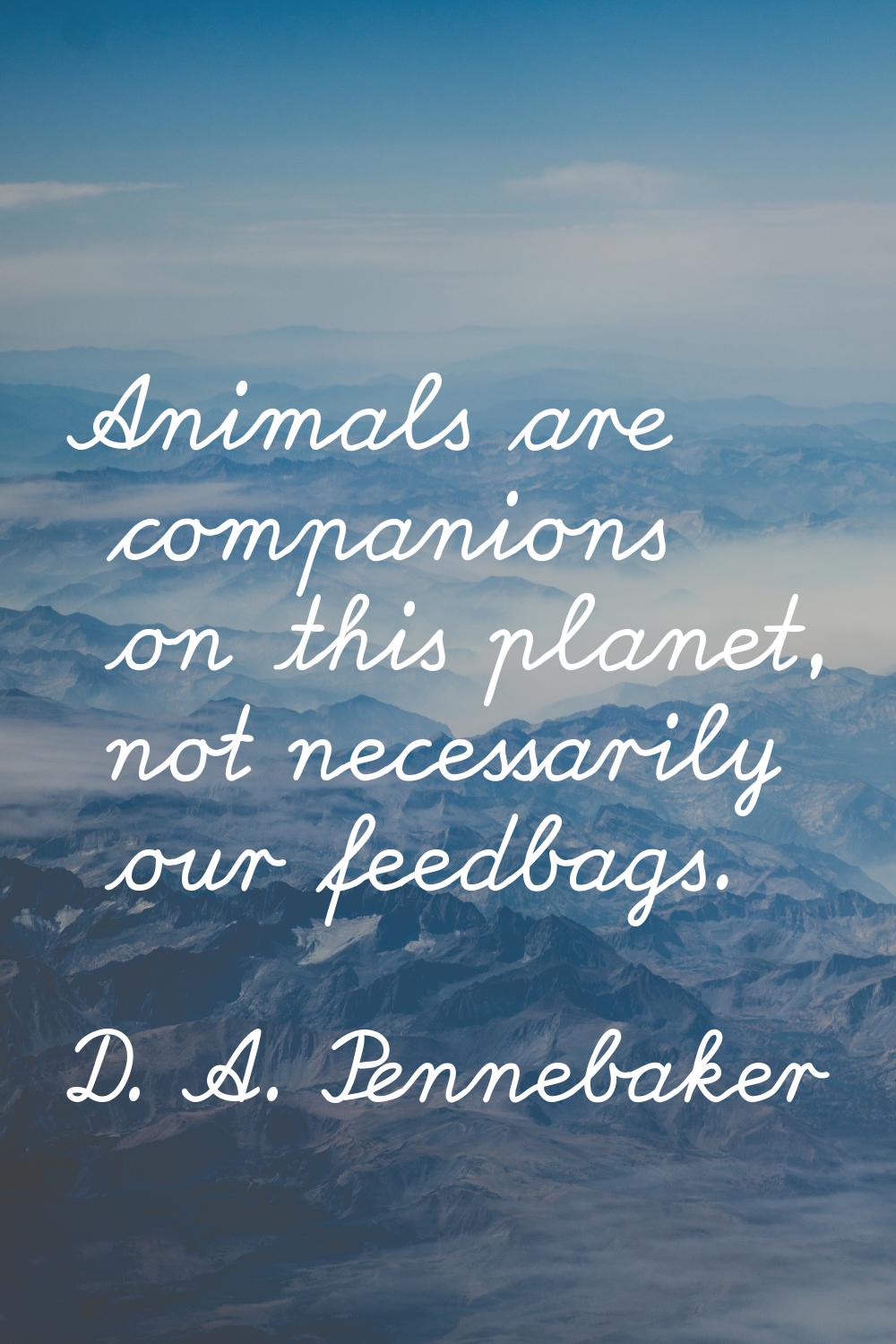 Animals are companions on this planet, not necessarily our feedbags.
