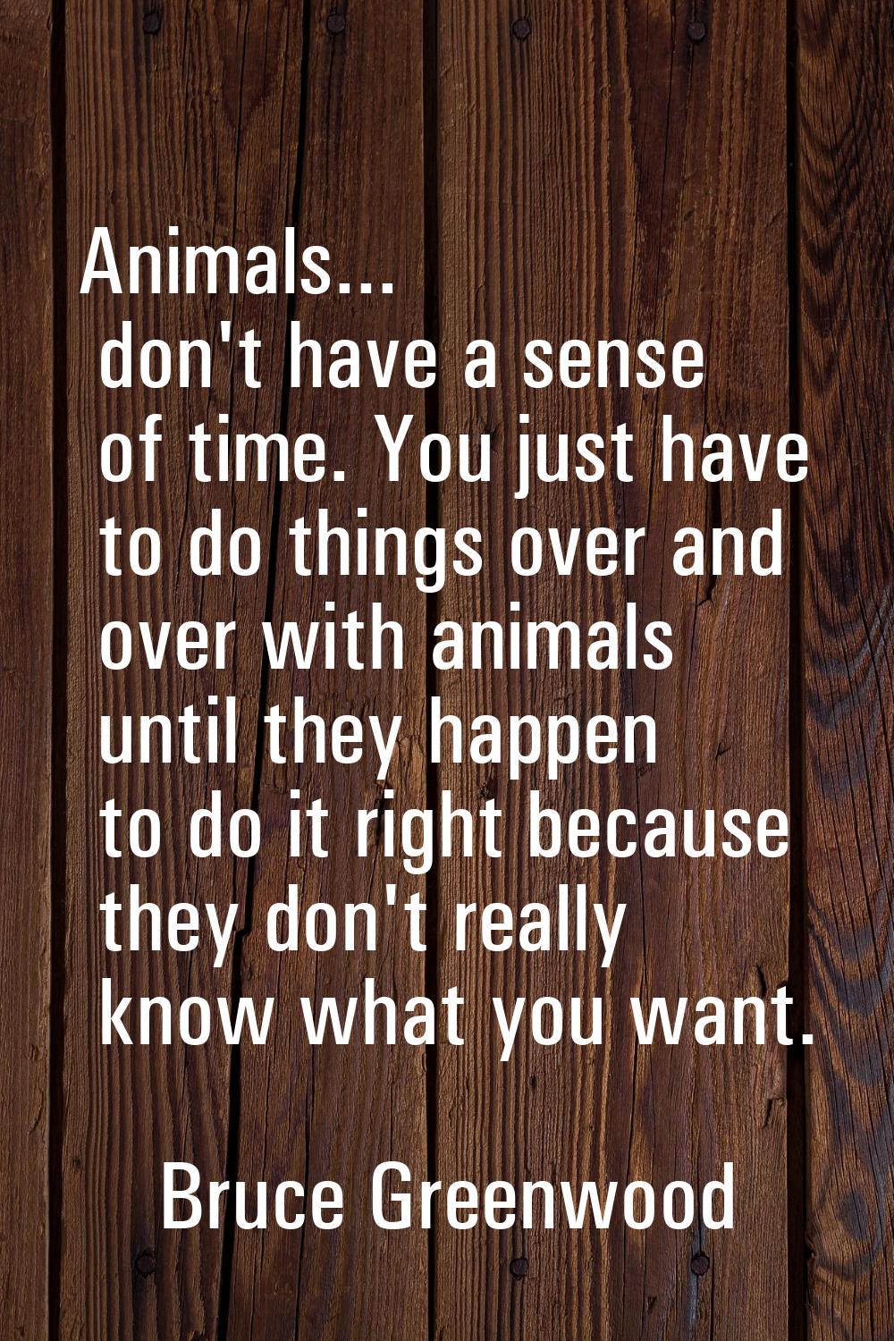 Animals... don't have a sense of time. You just have to do things over and over with animals until 