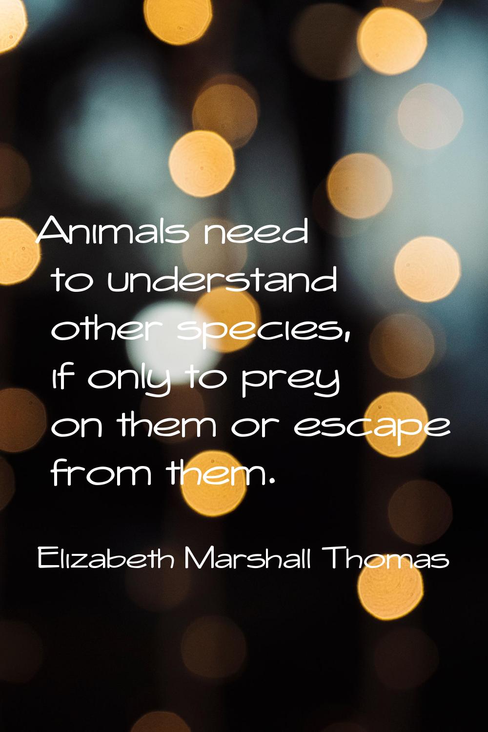 Animals need to understand other species, if only to prey on them or escape from them.