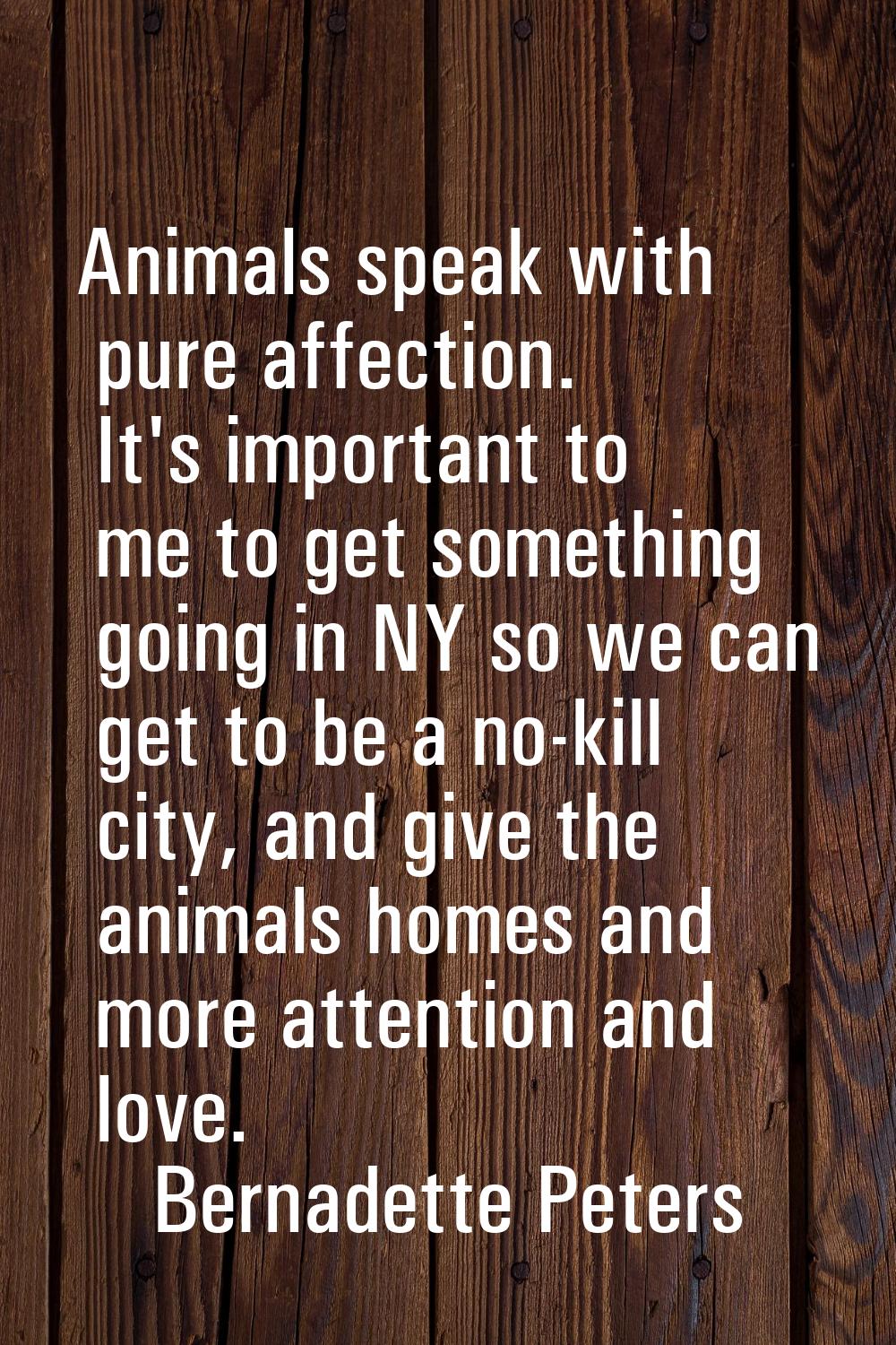 Animals speak with pure affection. It's important to me to get something going in NY so we can get 