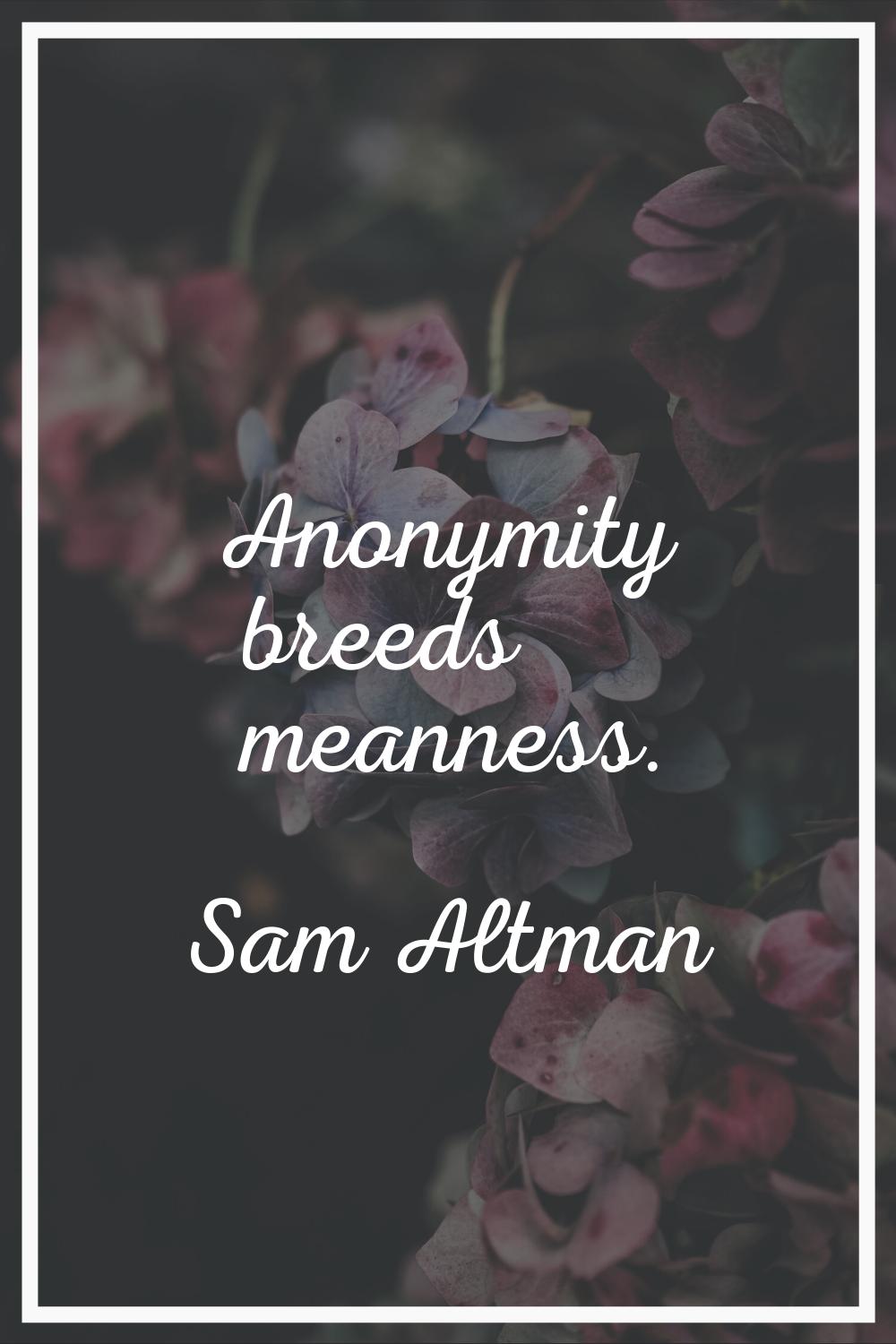 Anonymity breeds meanness.