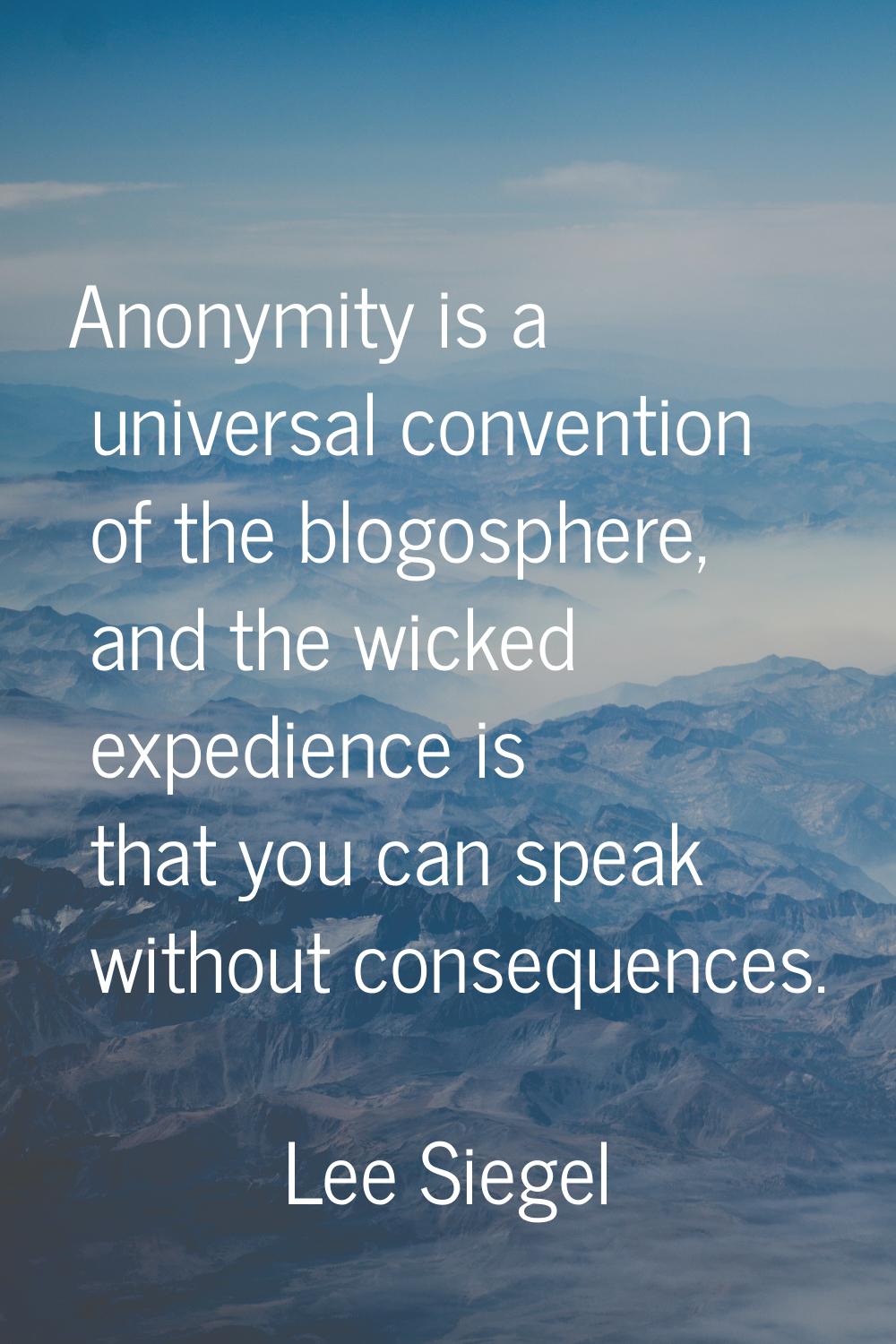 Anonymity is a universal convention of the blogosphere, and the wicked expedience is that you can s