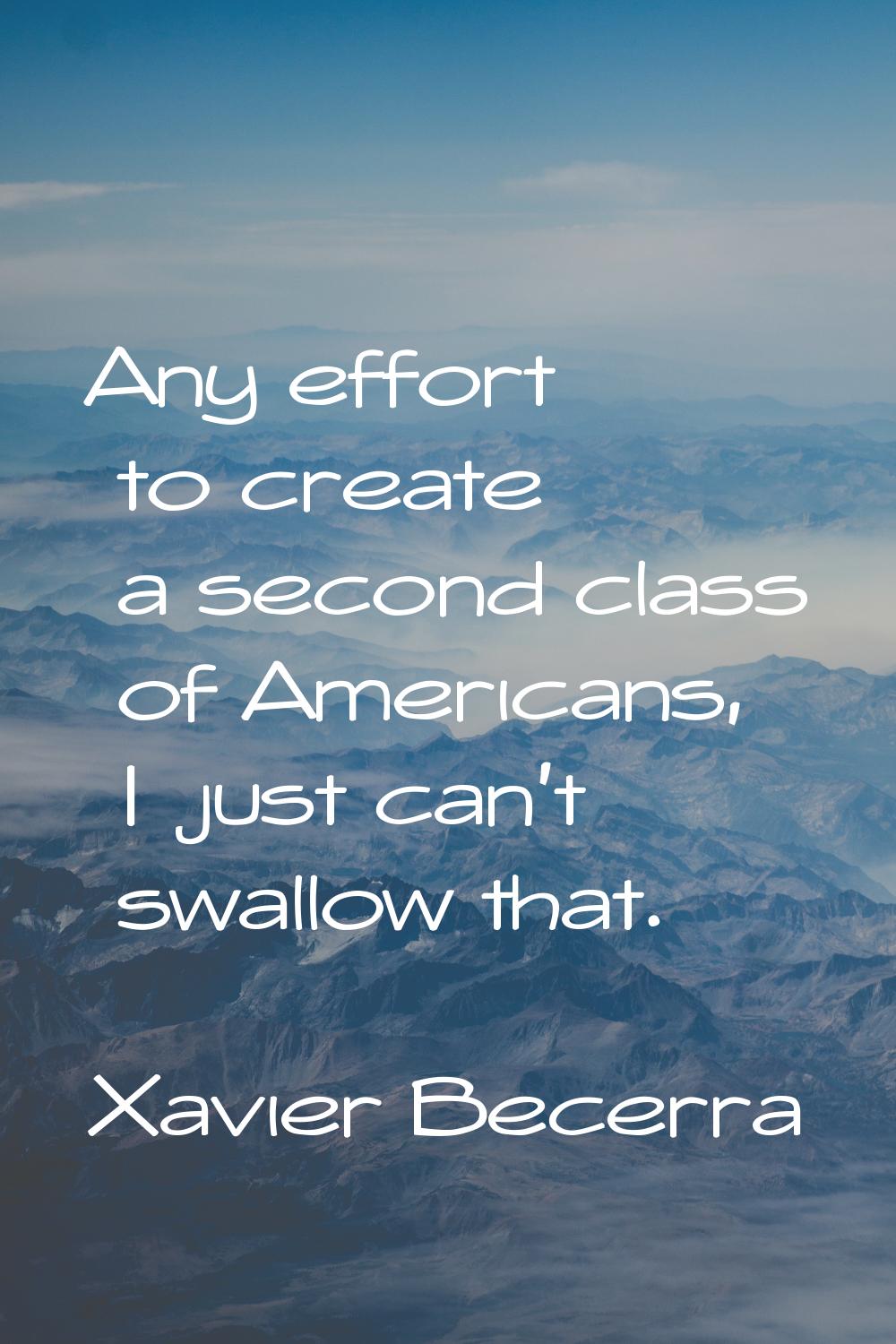 Any effort to create a second class of Americans, I just can't swallow that.