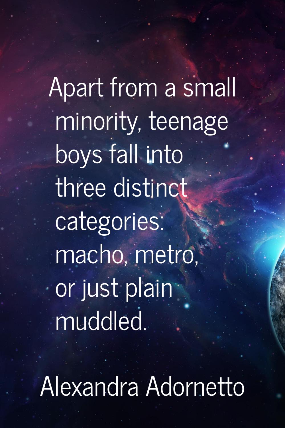 Apart from a small minority, teenage boys fall into three distinct categories: macho, metro, or jus