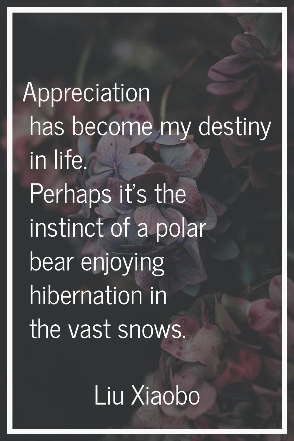 Appreciation has become my destiny in life. Perhaps it's the instinct of a polar bear enjoying hibe