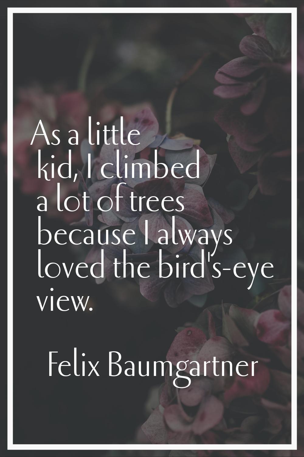 As a little kid, I climbed a lot of trees because I always loved the bird's-eye view.