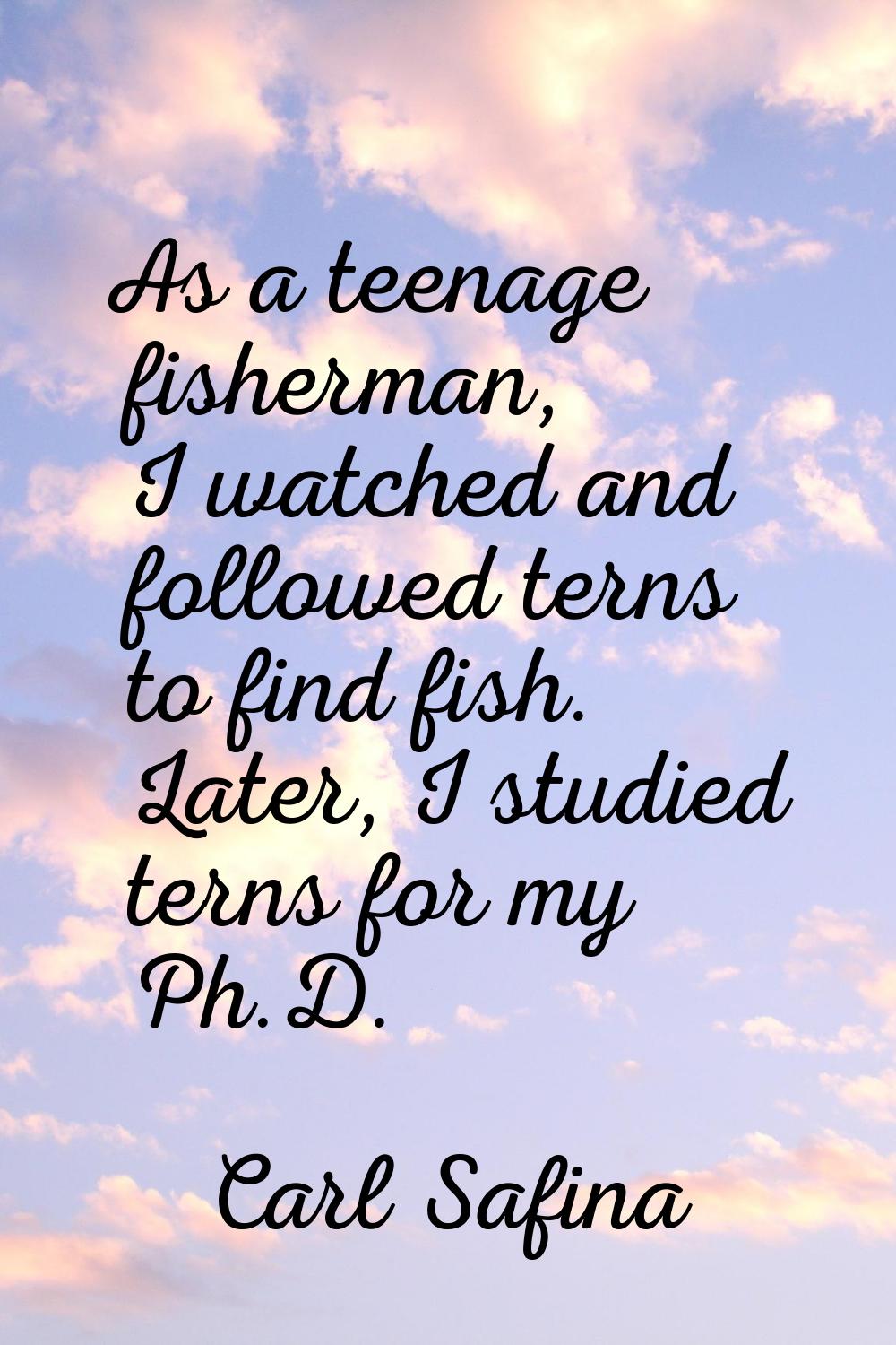 As a teenage fisherman, I watched and followed terns to find fish. Later, I studied terns for my Ph