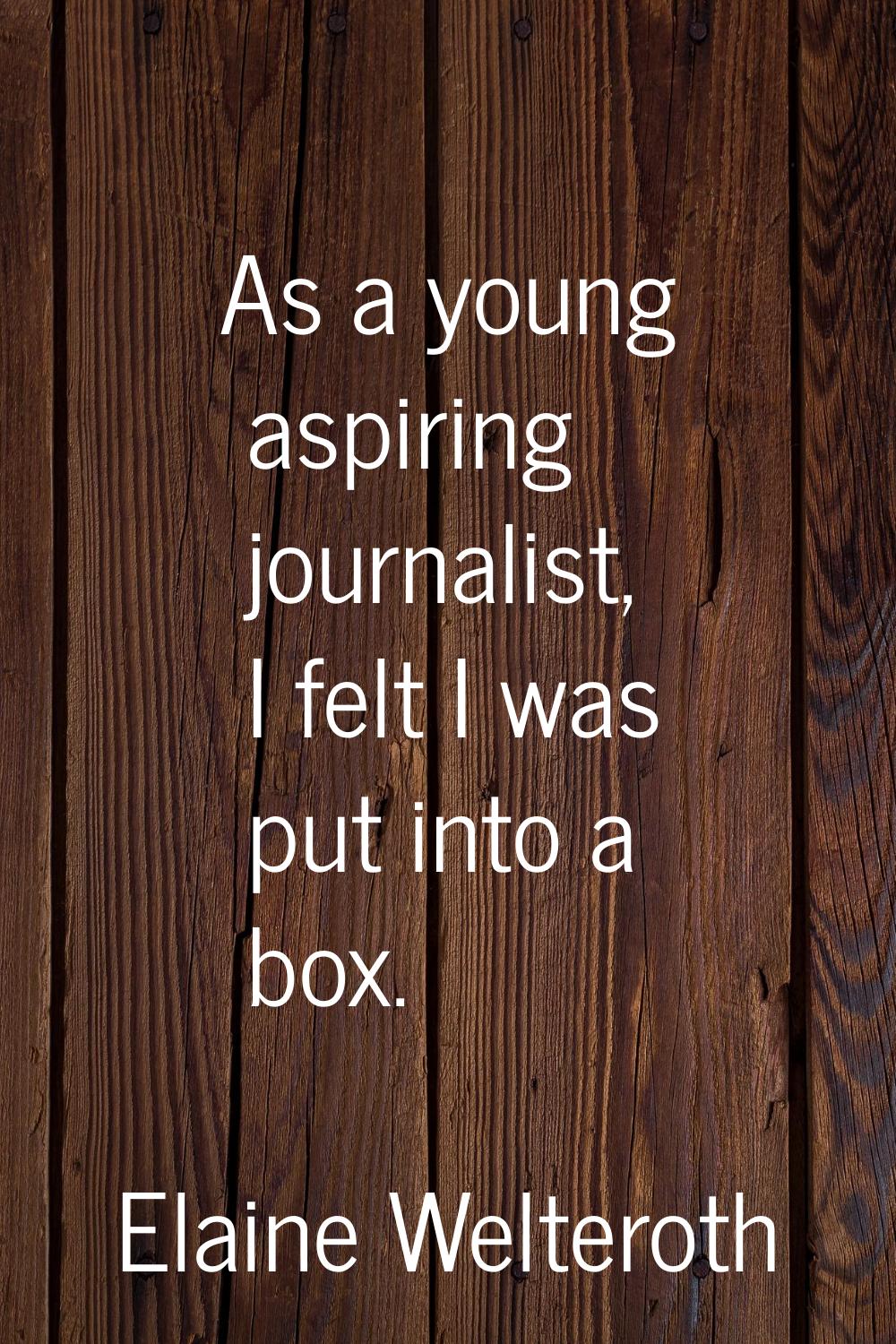 As a young aspiring journalist, I felt I was put into a box.