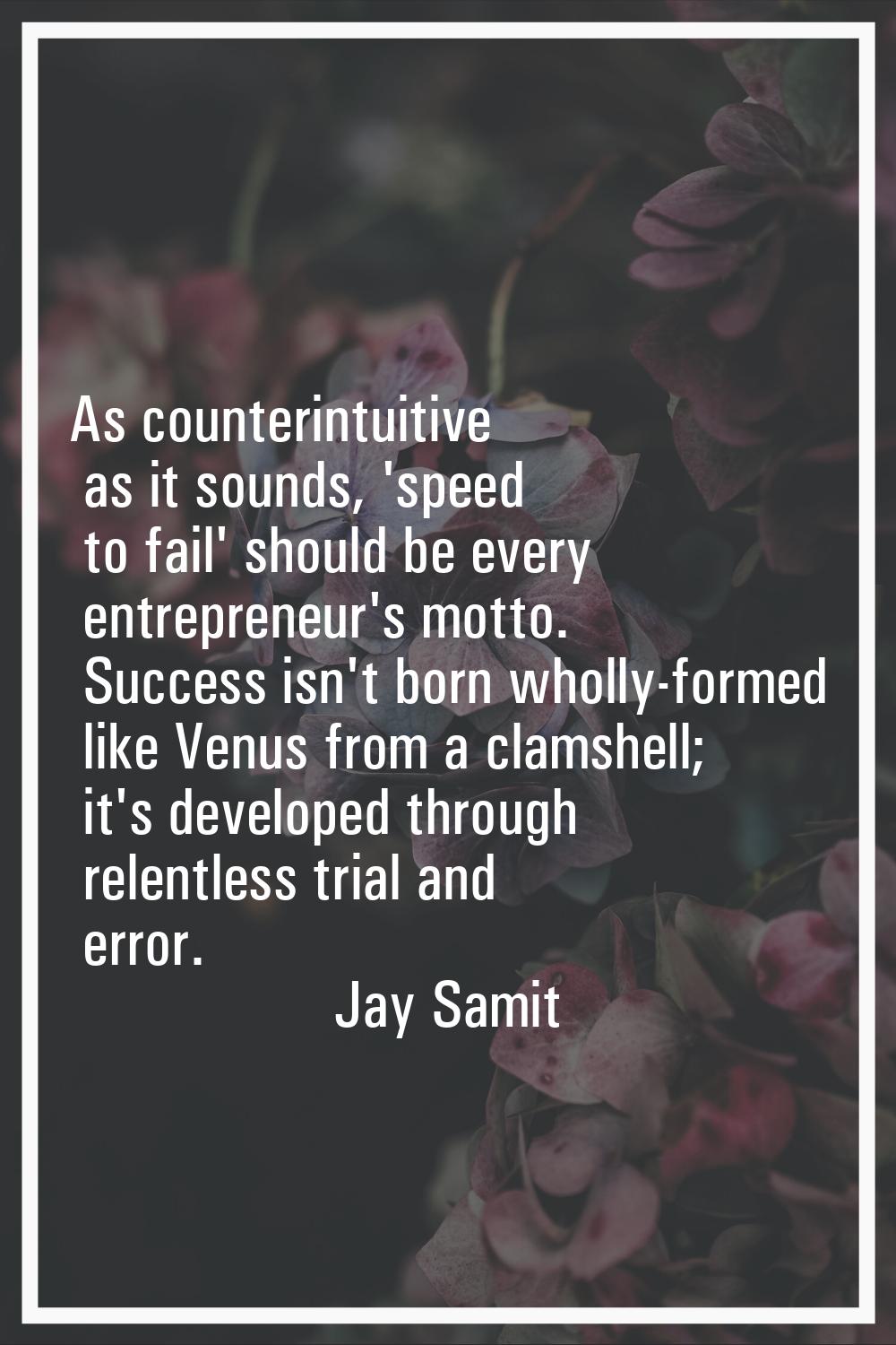 As counterintuitive as it sounds, 'speed to fail' should be every entrepreneur's motto. Success isn