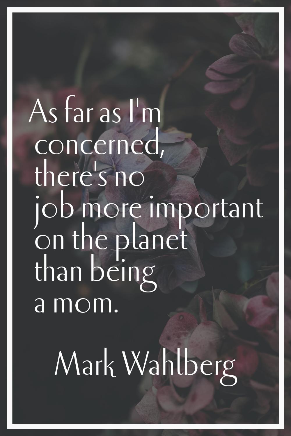 As far as I'm concerned, there's no job more important on the planet than being a mom.