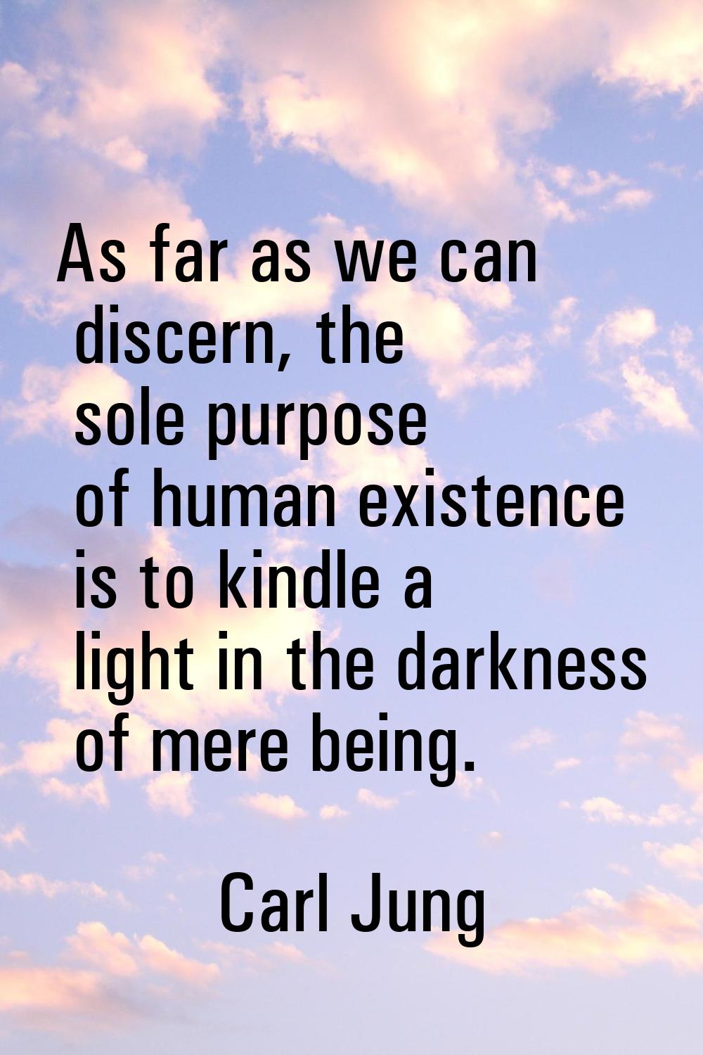 As far as we can discern, the sole purpose of human existence is to kindle a light in the darkness 