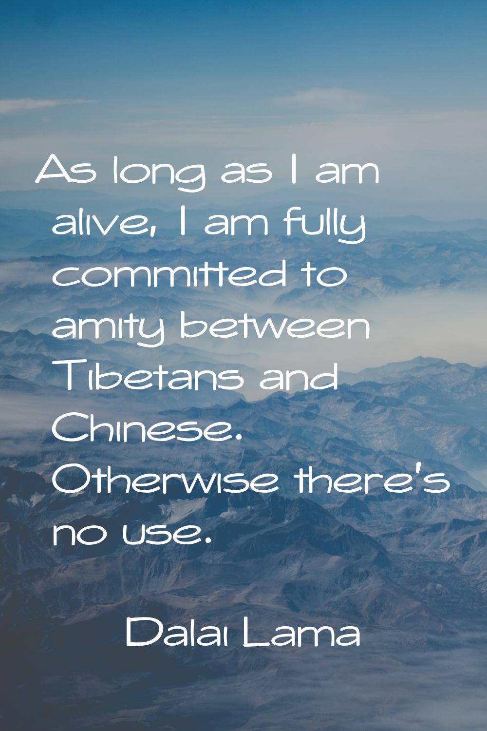 As long as I am alive, I am fully committed to amity between Tibetans and Chinese. Otherwise there'